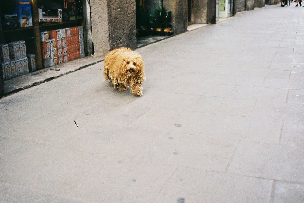 Carrer del Carme, Barcelona, Spanien, Juni 2014