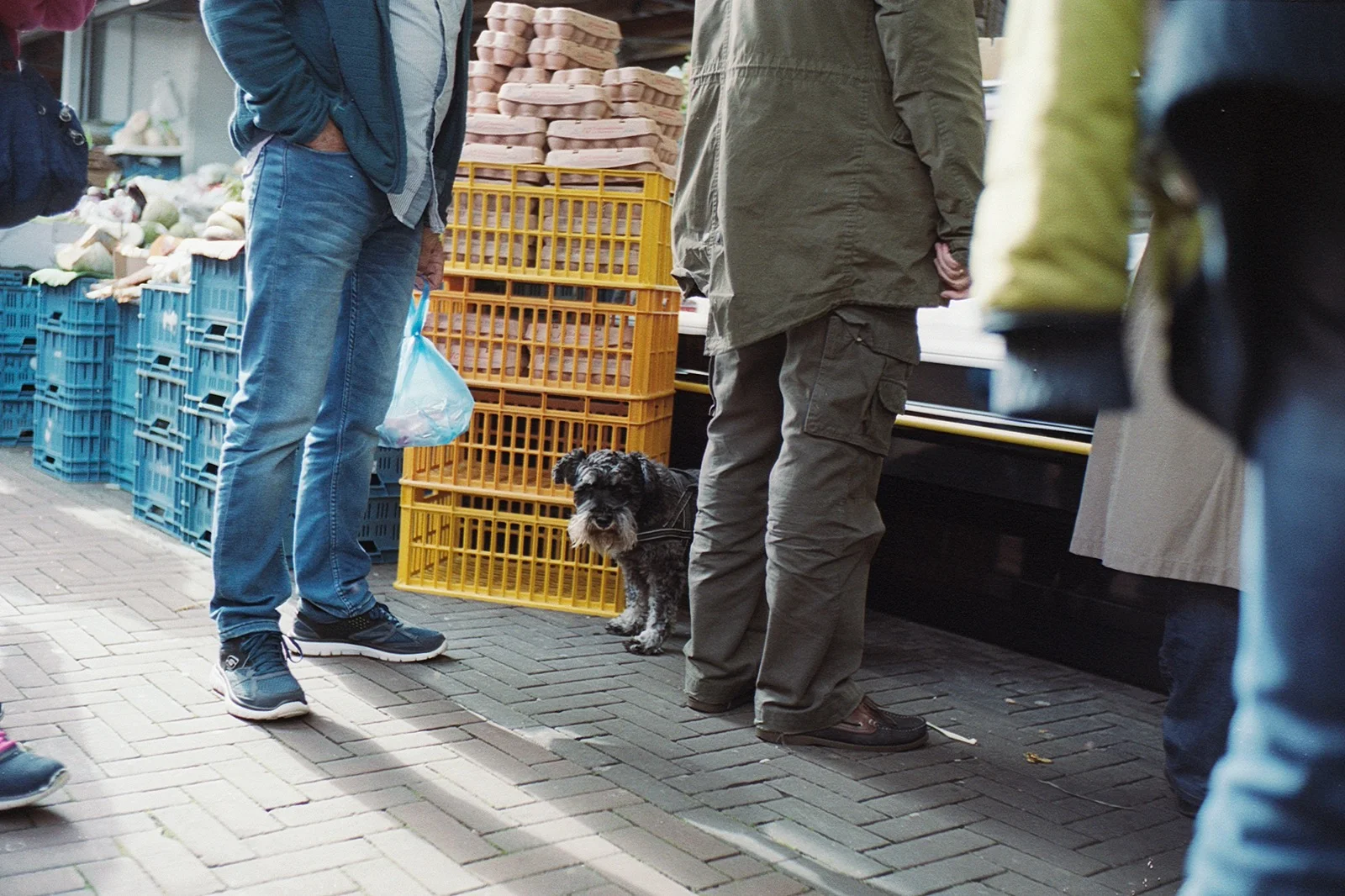 Haagse Markt, Den Haag, Niederlande, Oktober 2017
