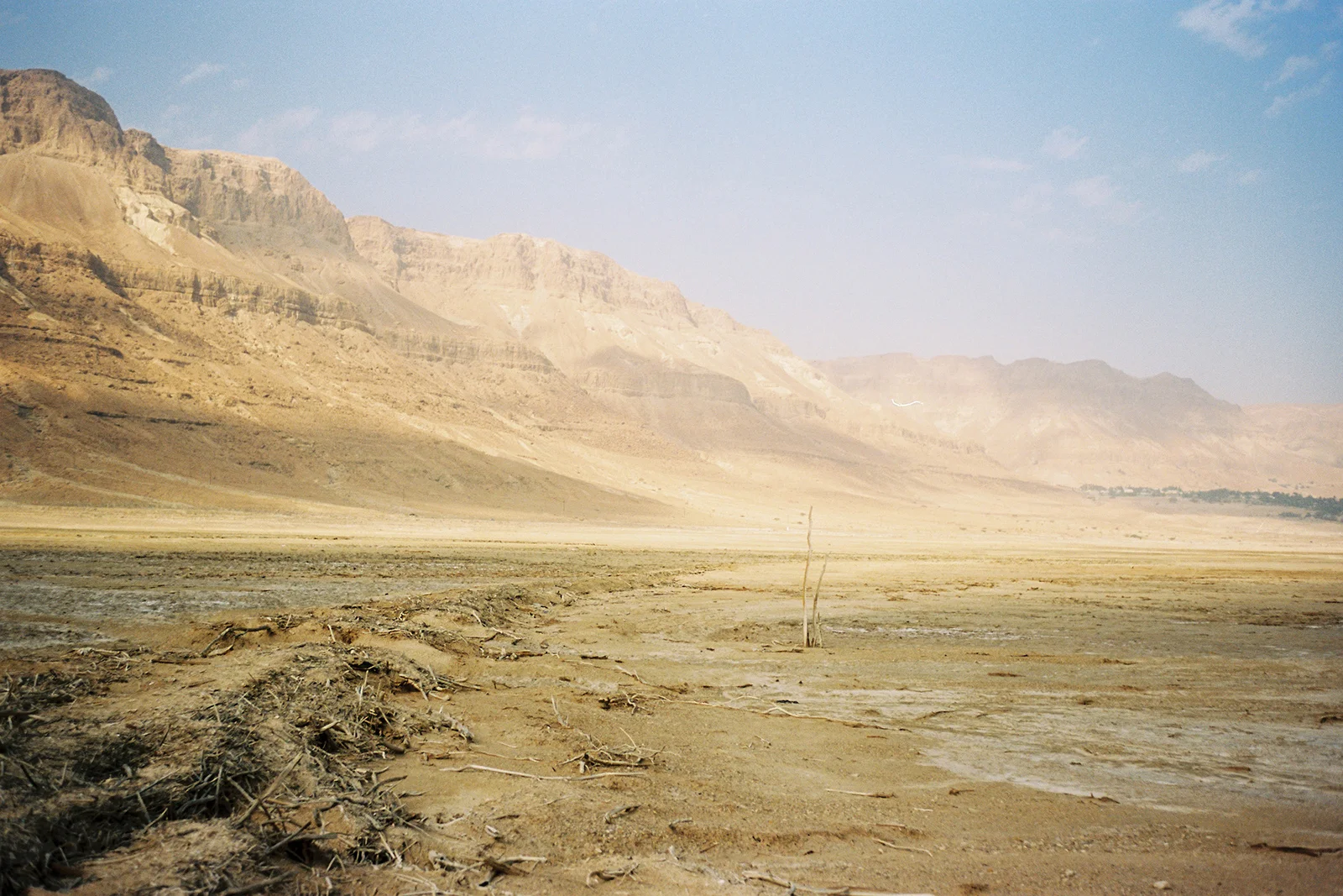 Negev, Dezember 2013