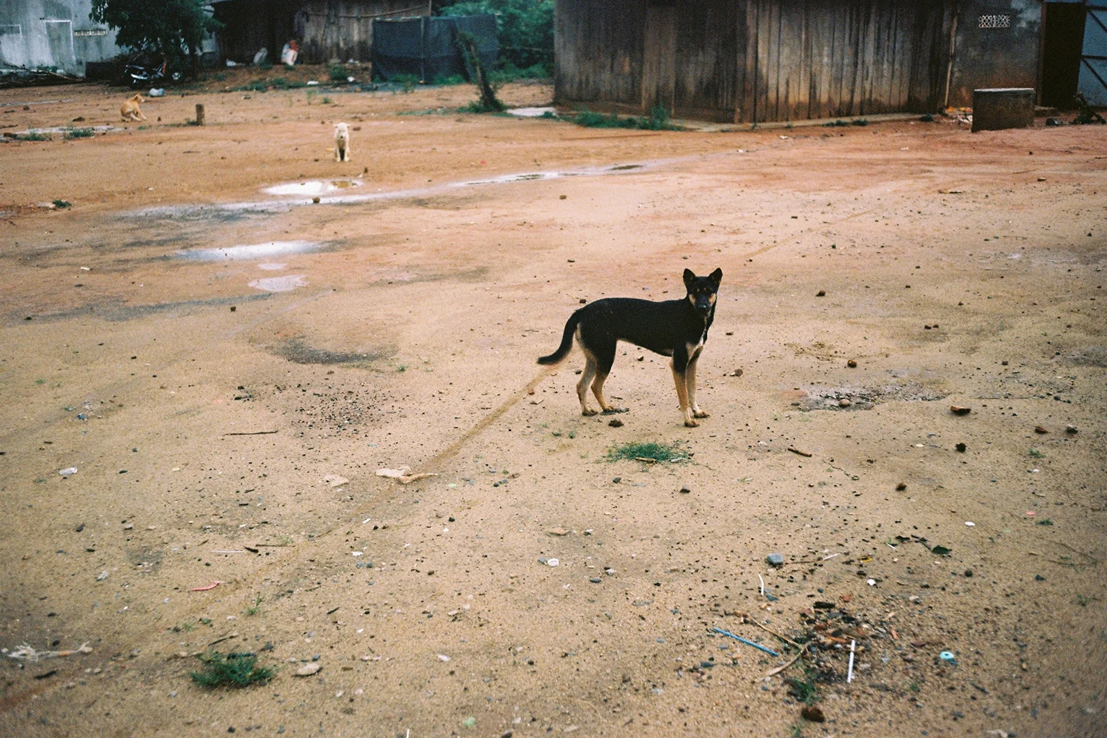Irgendwo in Vietnam, Mai 2016