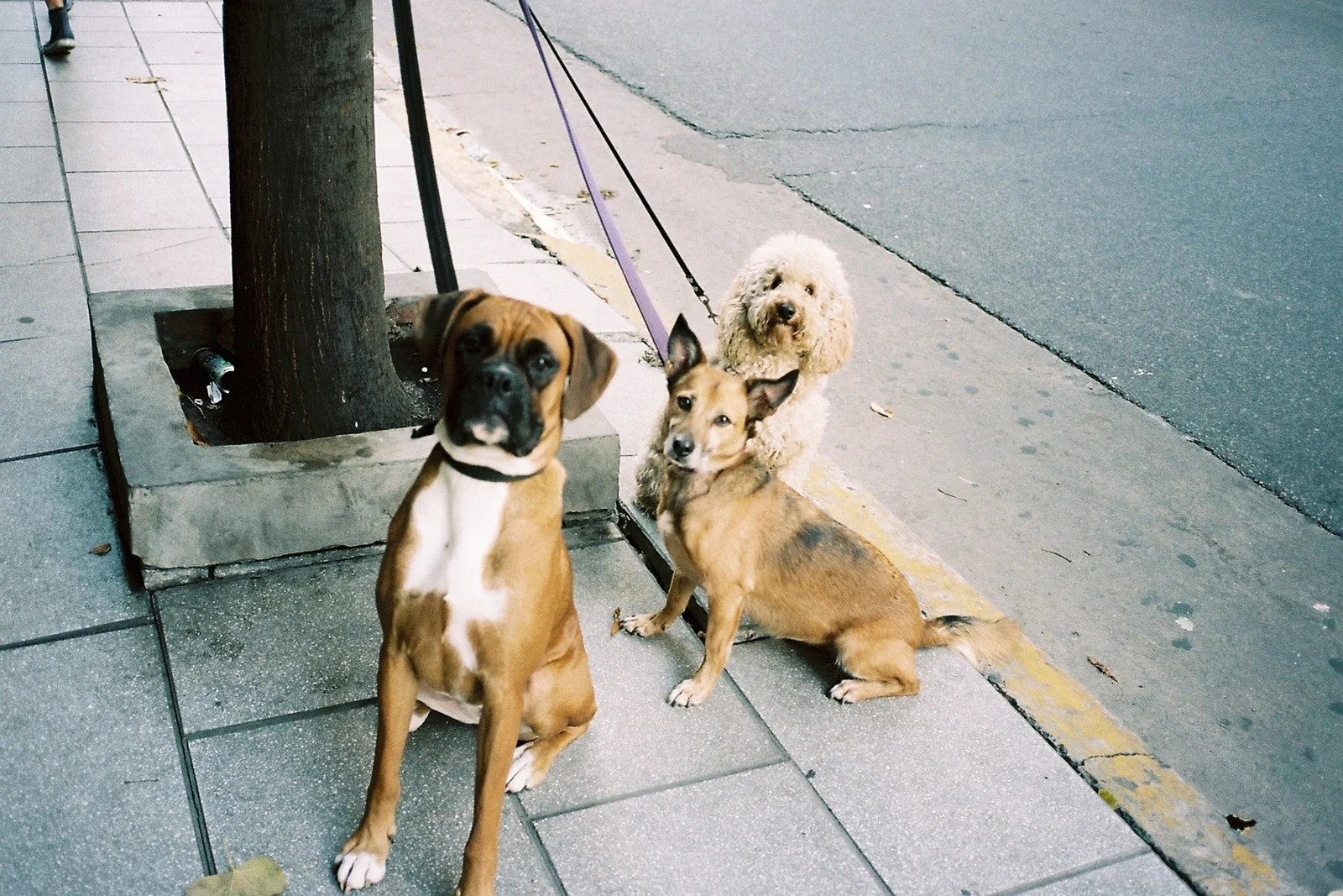 Palermo Hollywood, Buenos Aires, Argentinien, Mai 2015