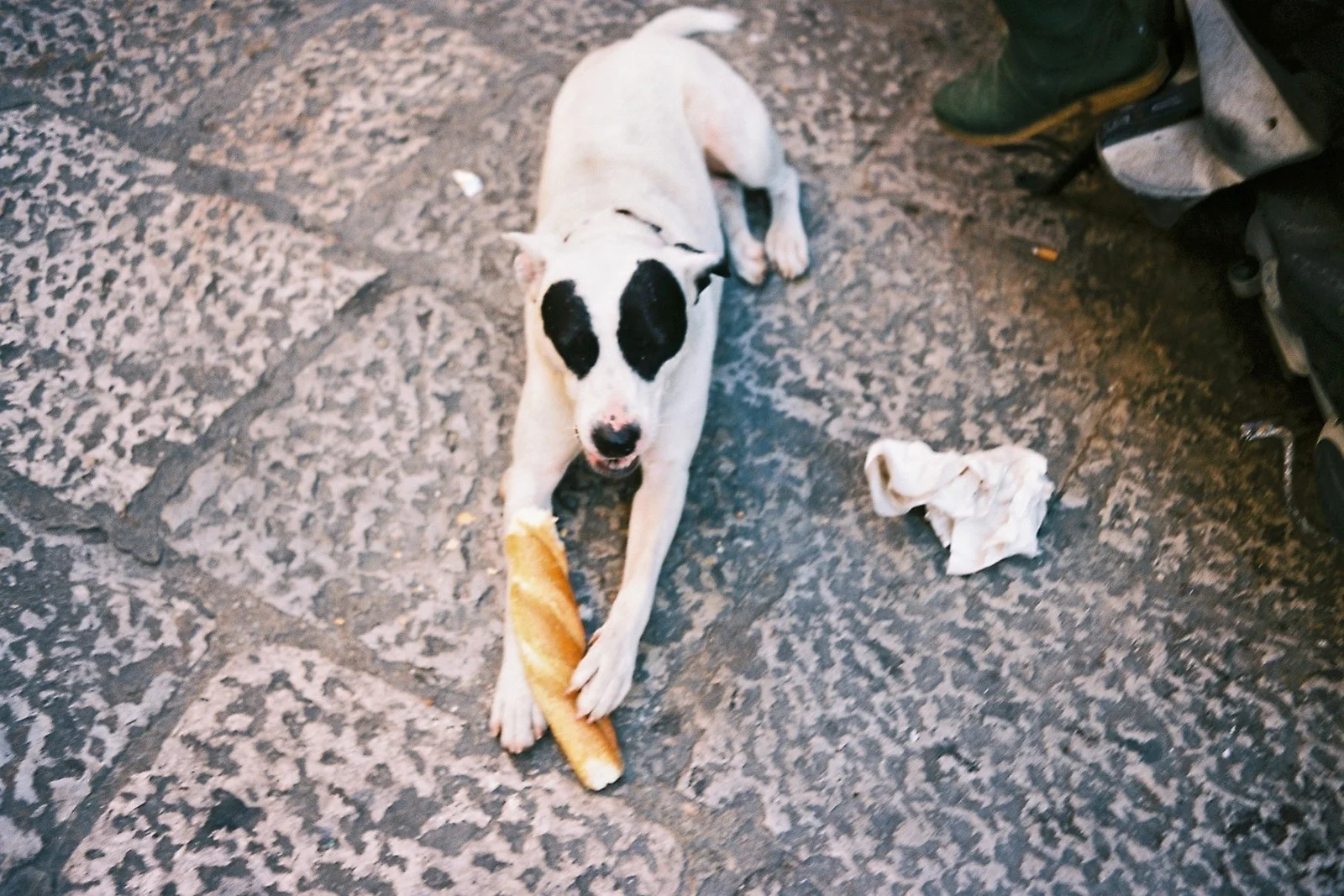Palermo, Sizilien, September 2015