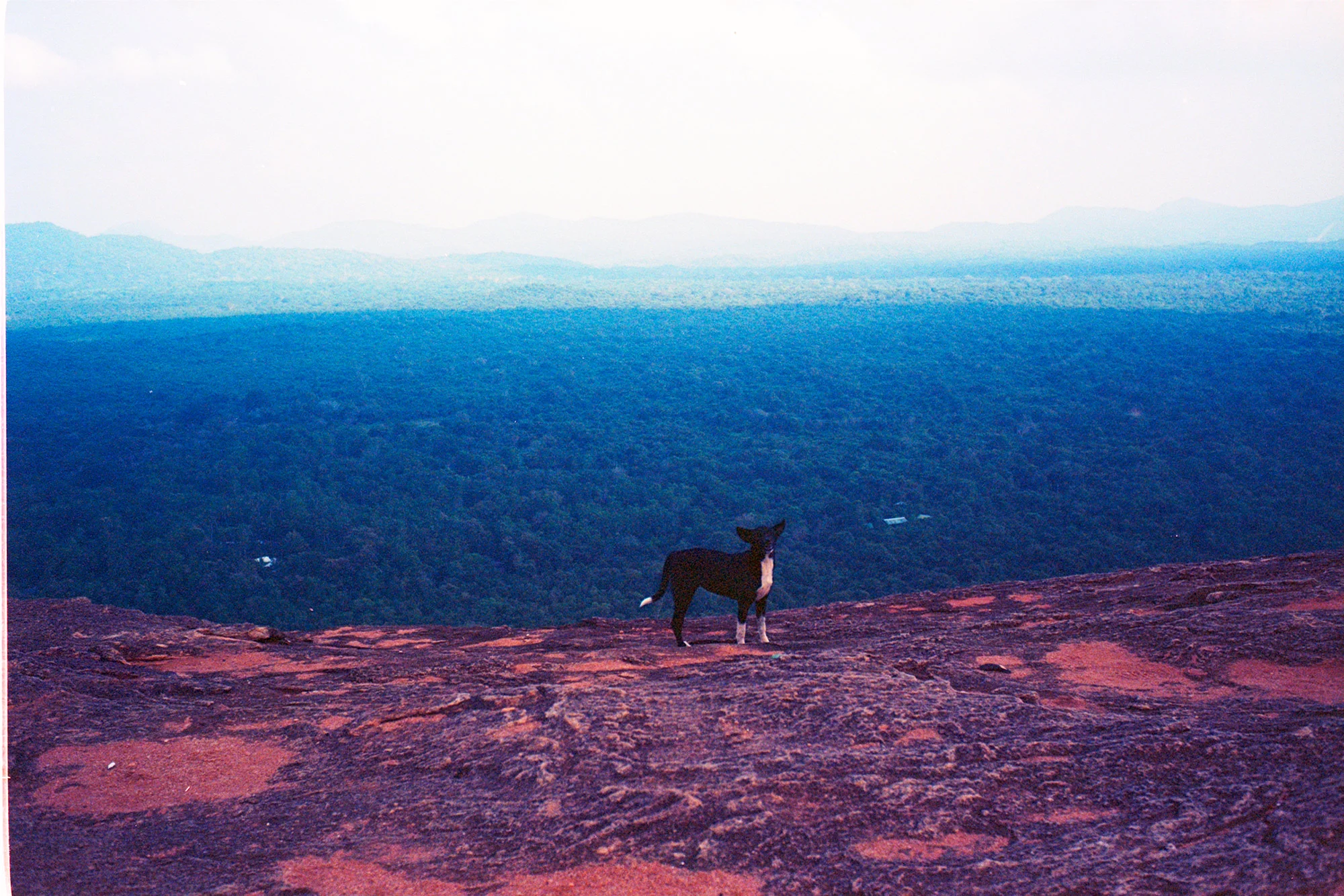 Pidurangala Rock, Sigiriya, Sri Lanka, Februar 2018