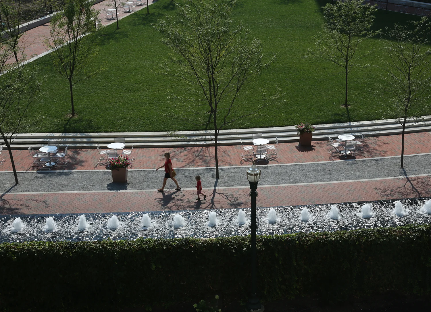 1D7C8993.jpg