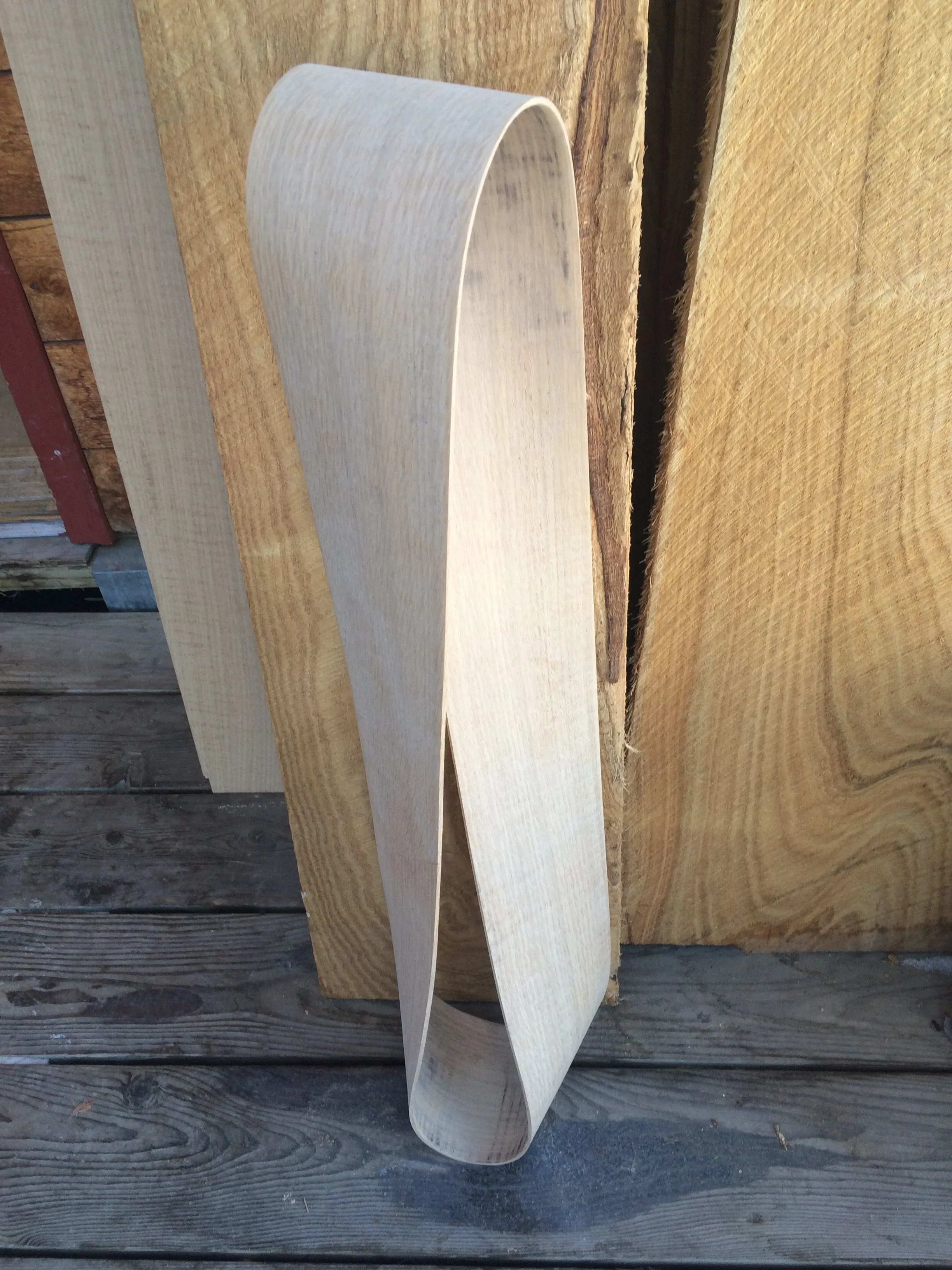 Steam Bent Mobius Strip