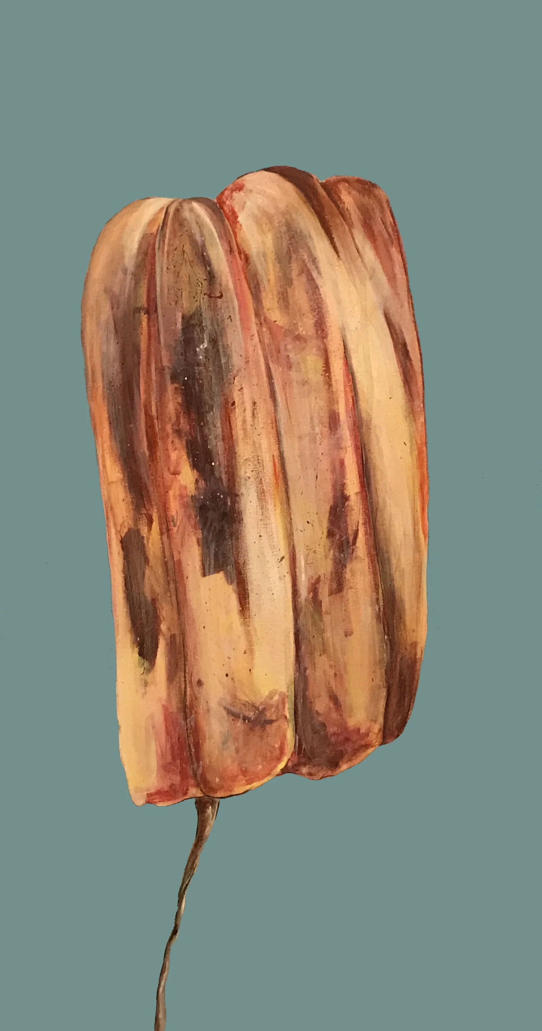 tampon.jpg