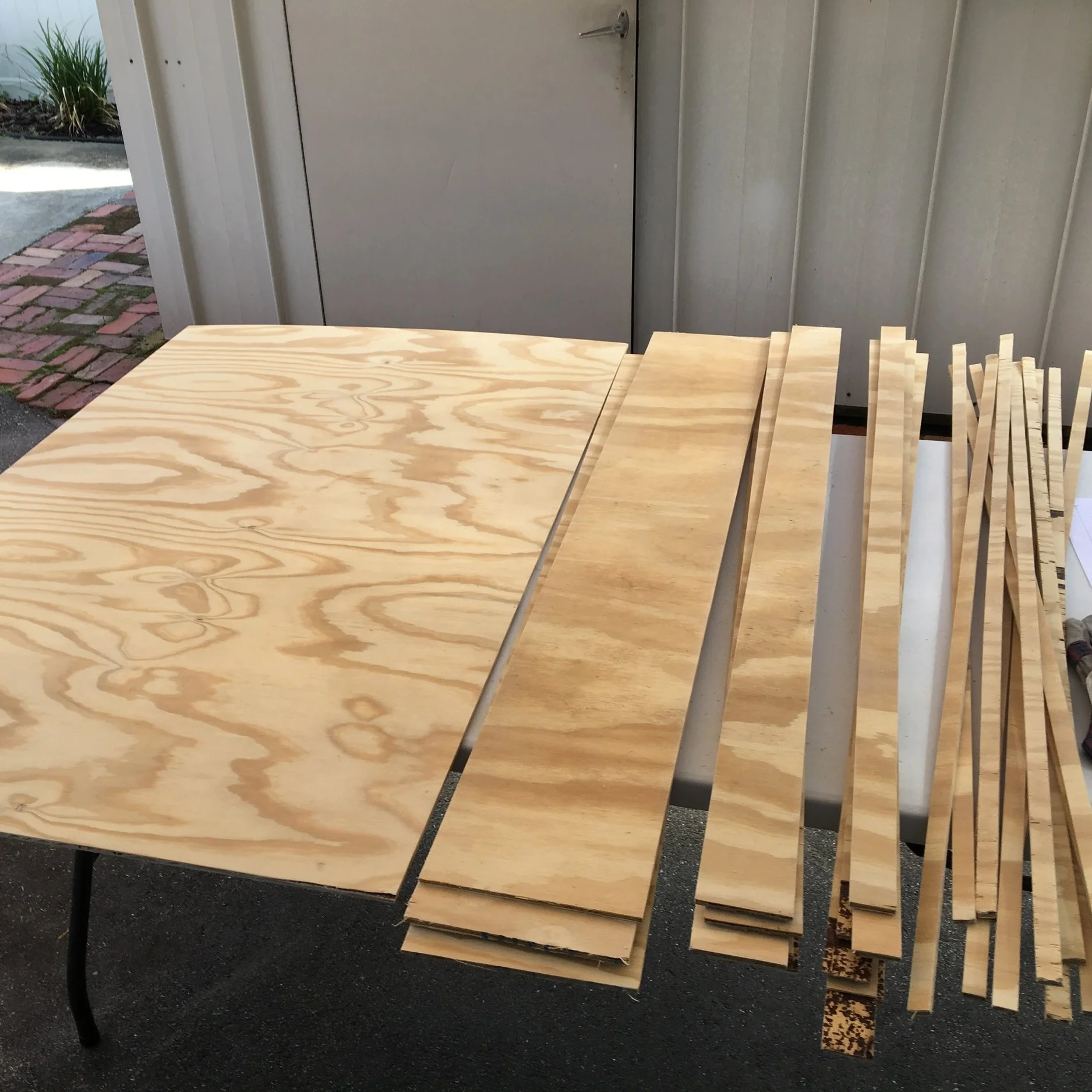All the pieces cut