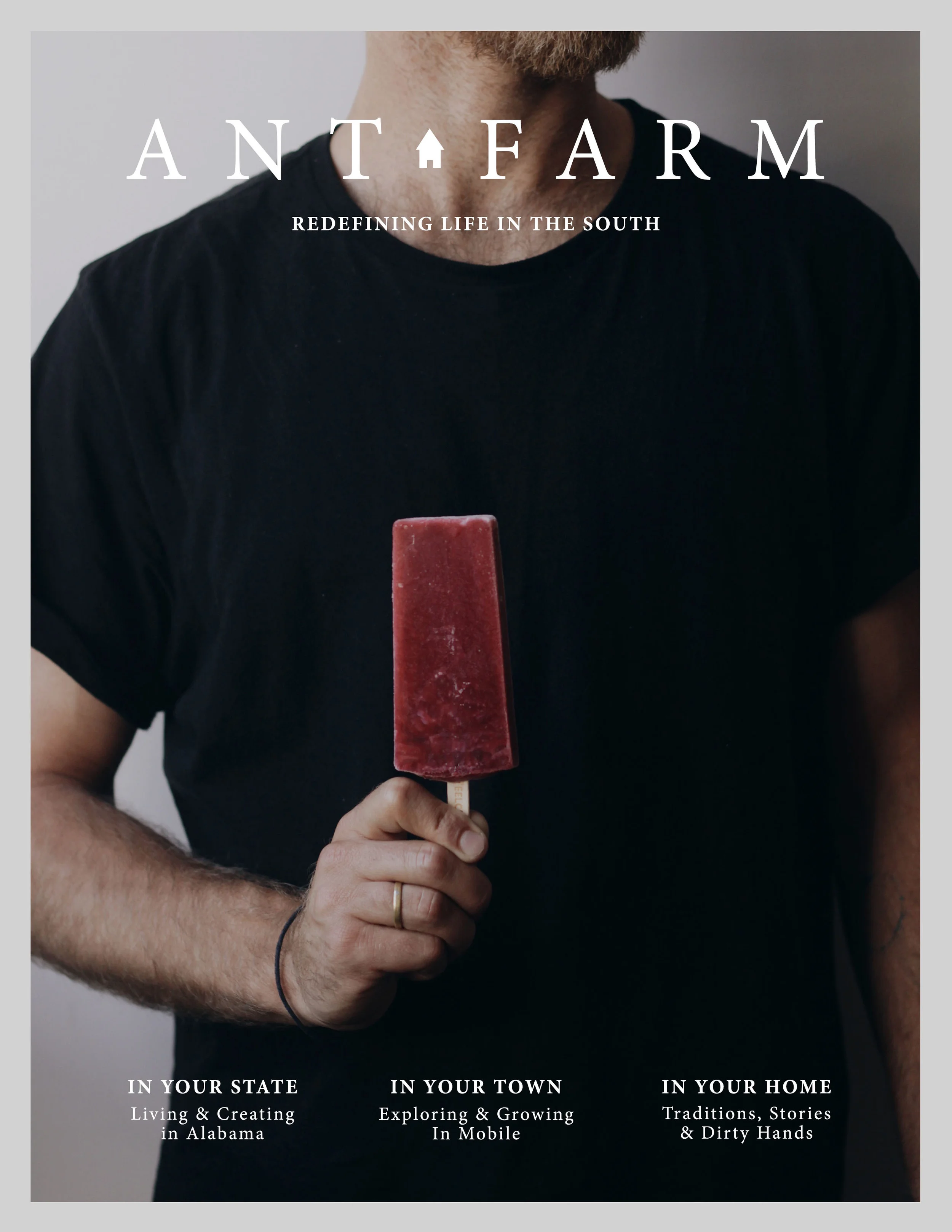 Ant Farm Issue 4 Cover alt 1.jpg