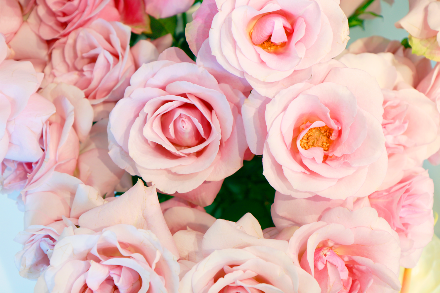 spring-cover.png