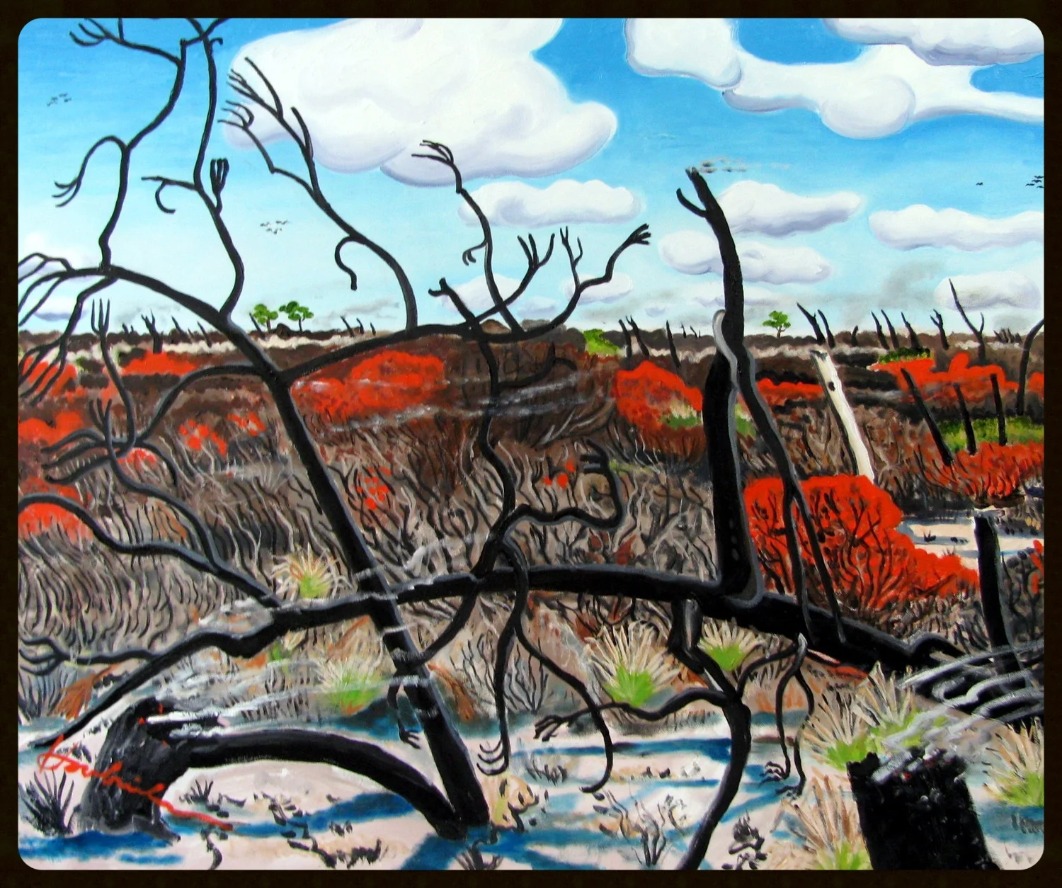   Burned area on Beach    30x36  