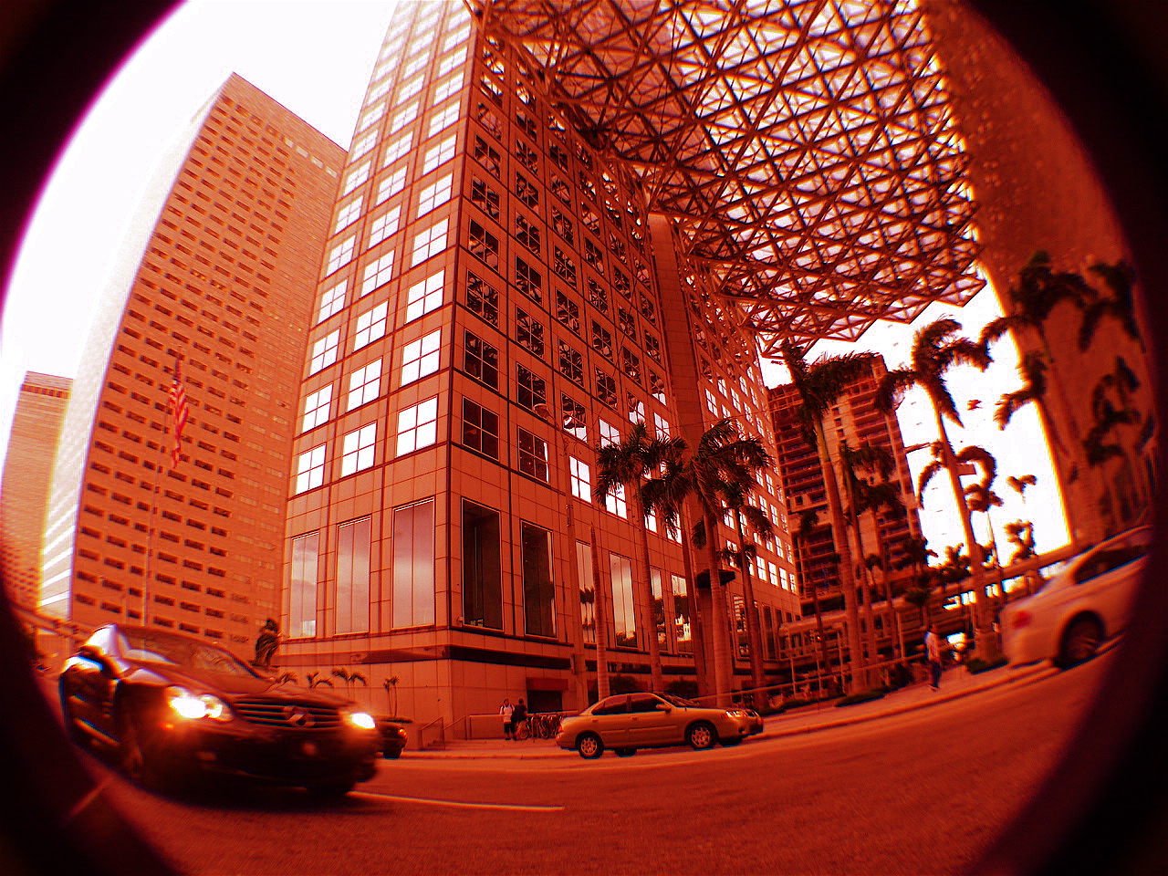 DSC04284.JPG