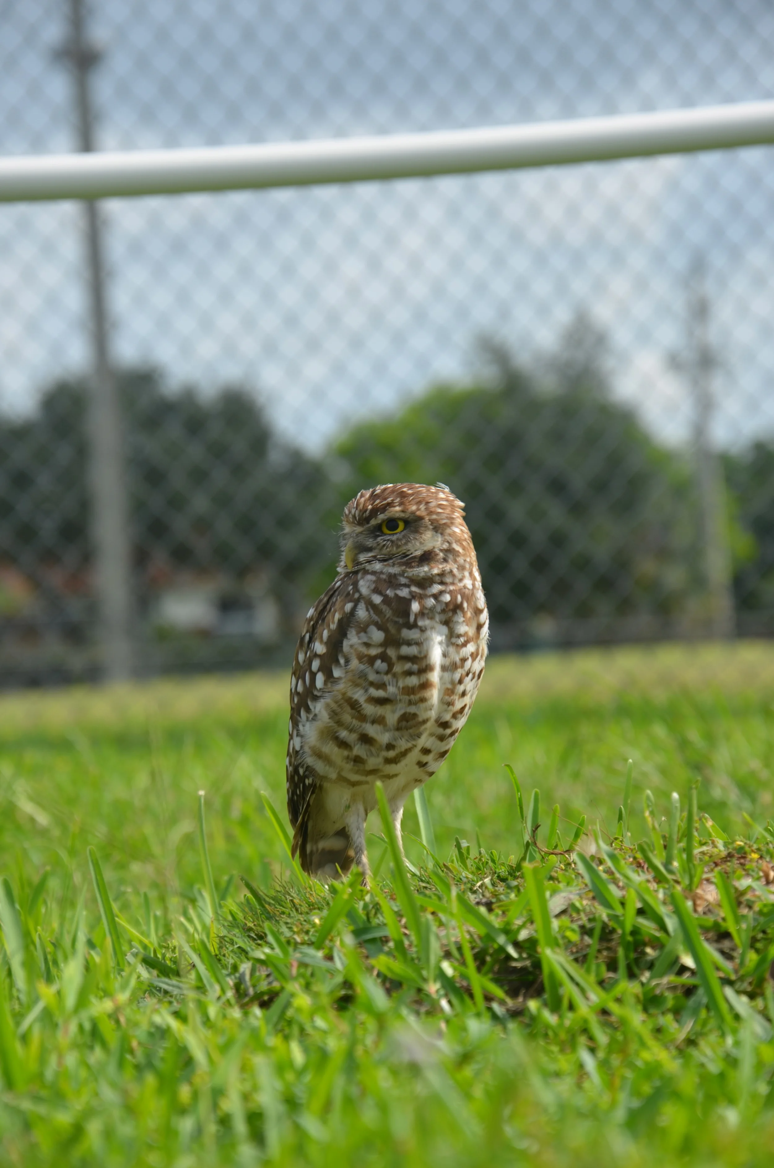 DSC_6658.jpg