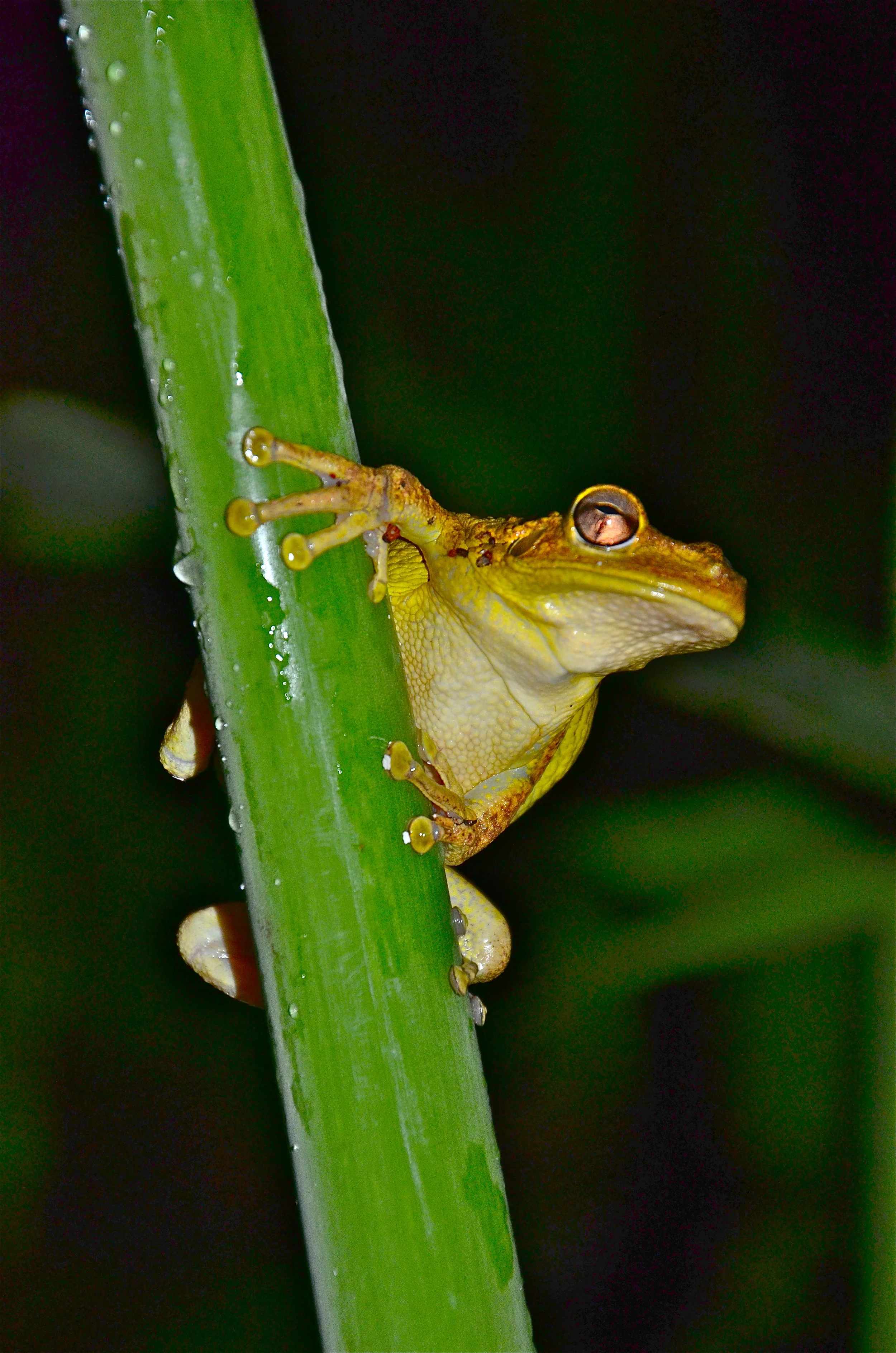 DSC_7393.jpg