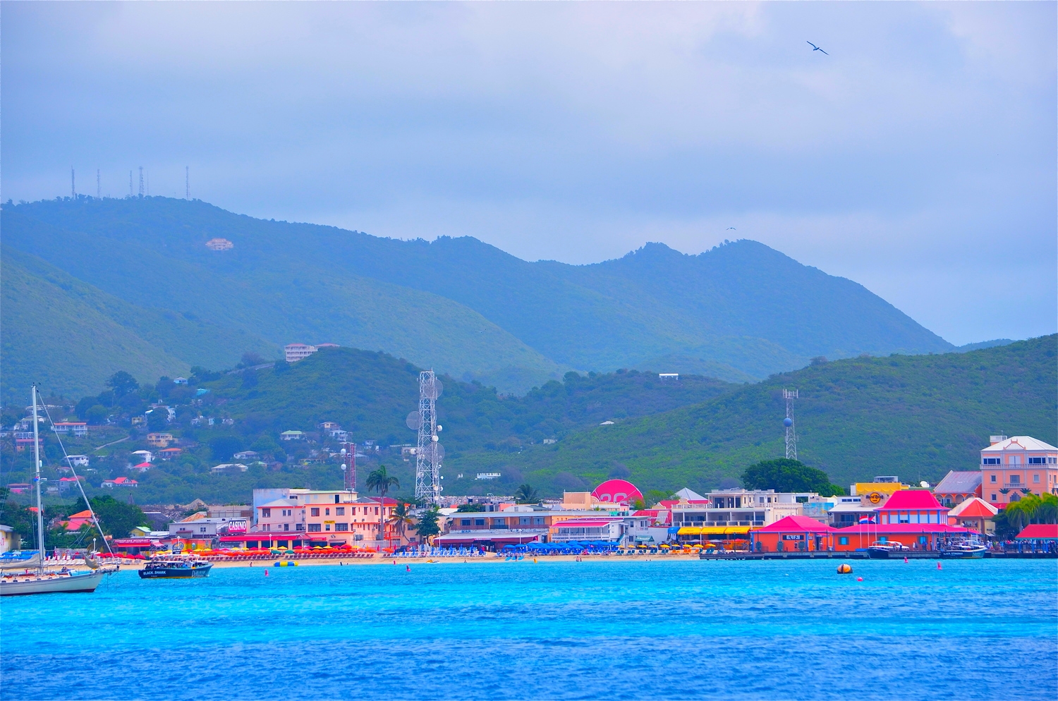 DSC_2508.JPG