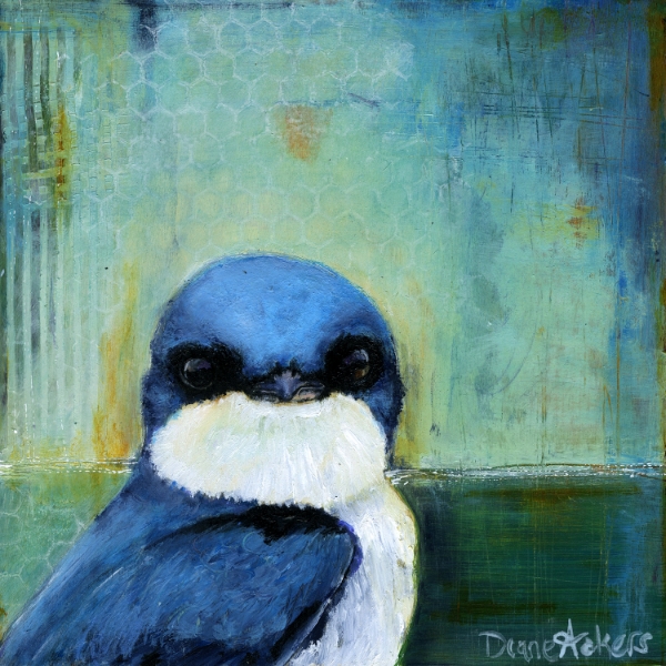 Tree Swallow #2