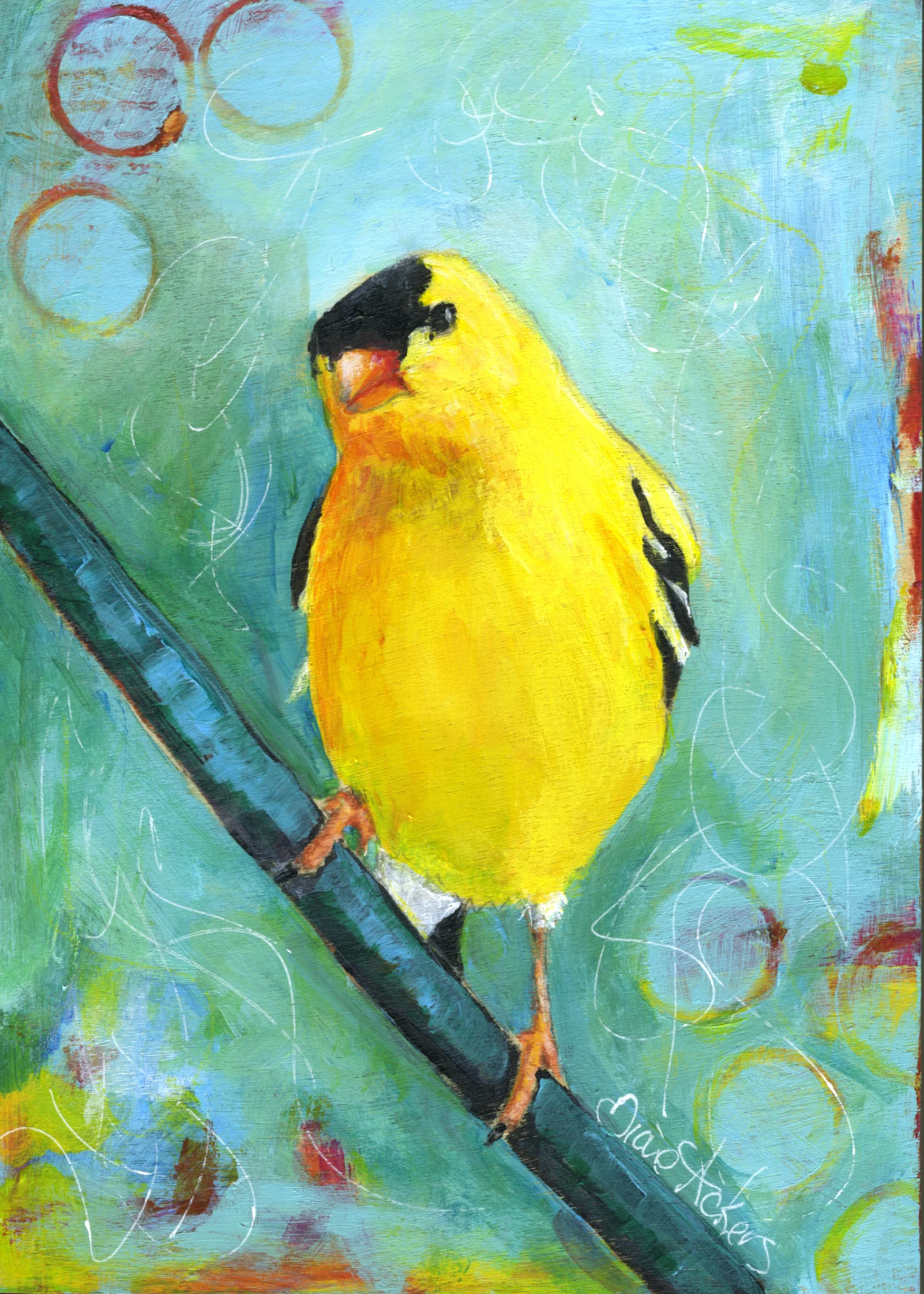 gfinch2 copy.jpg
