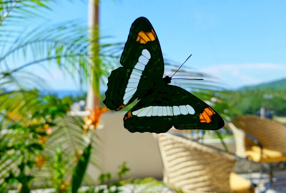 Sayulita-Villa-Zafiros-02.jpg