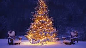 christmas tree w chairs.jpg