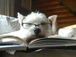 Bella loves to read. Check out he r recommendations.