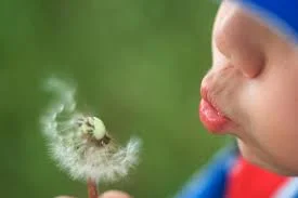 blowing a wish.jpg
