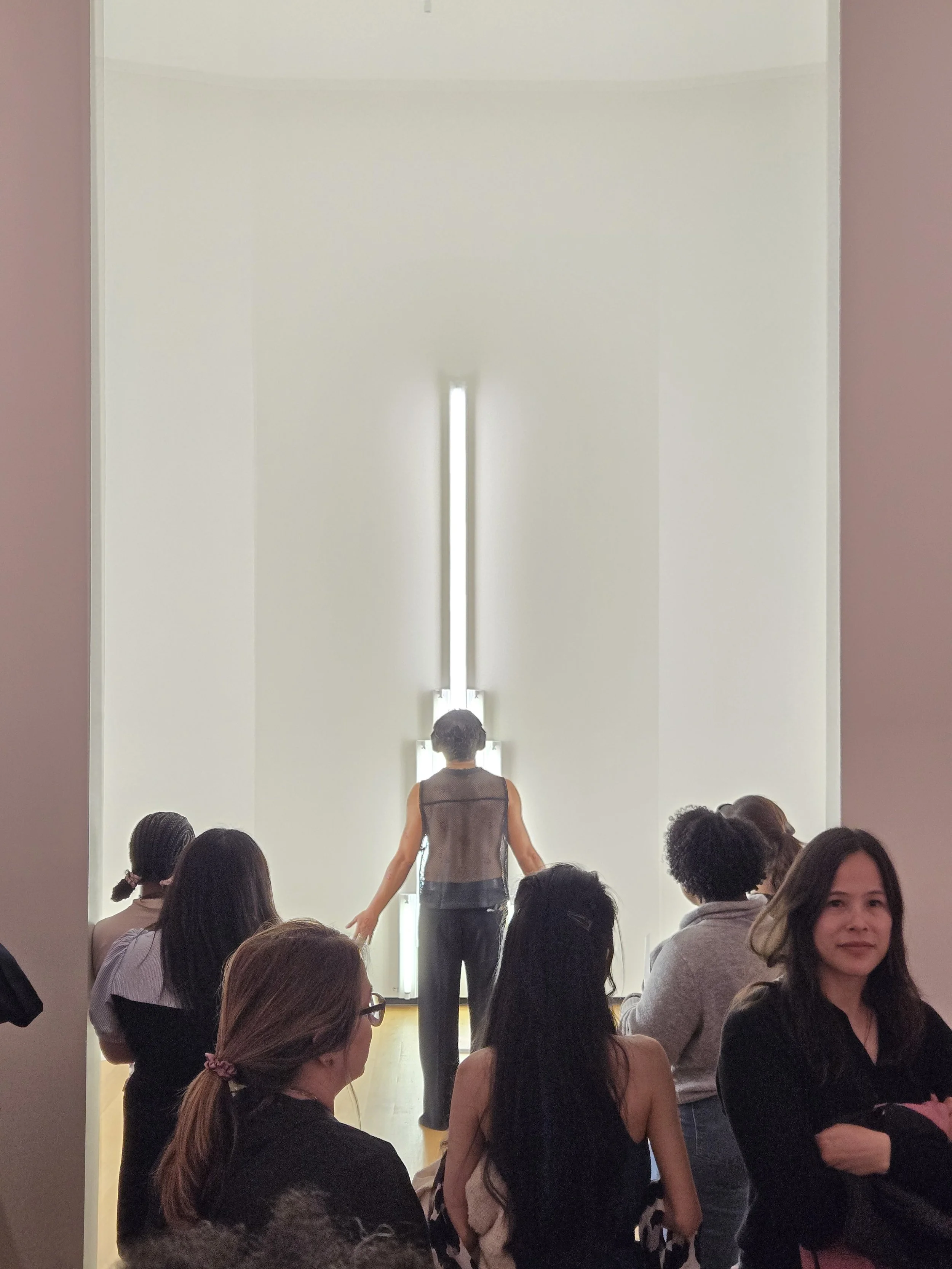 Scriptorium con safos: Dan Flavin, '“Monument” for V. Tatlin,' 2026