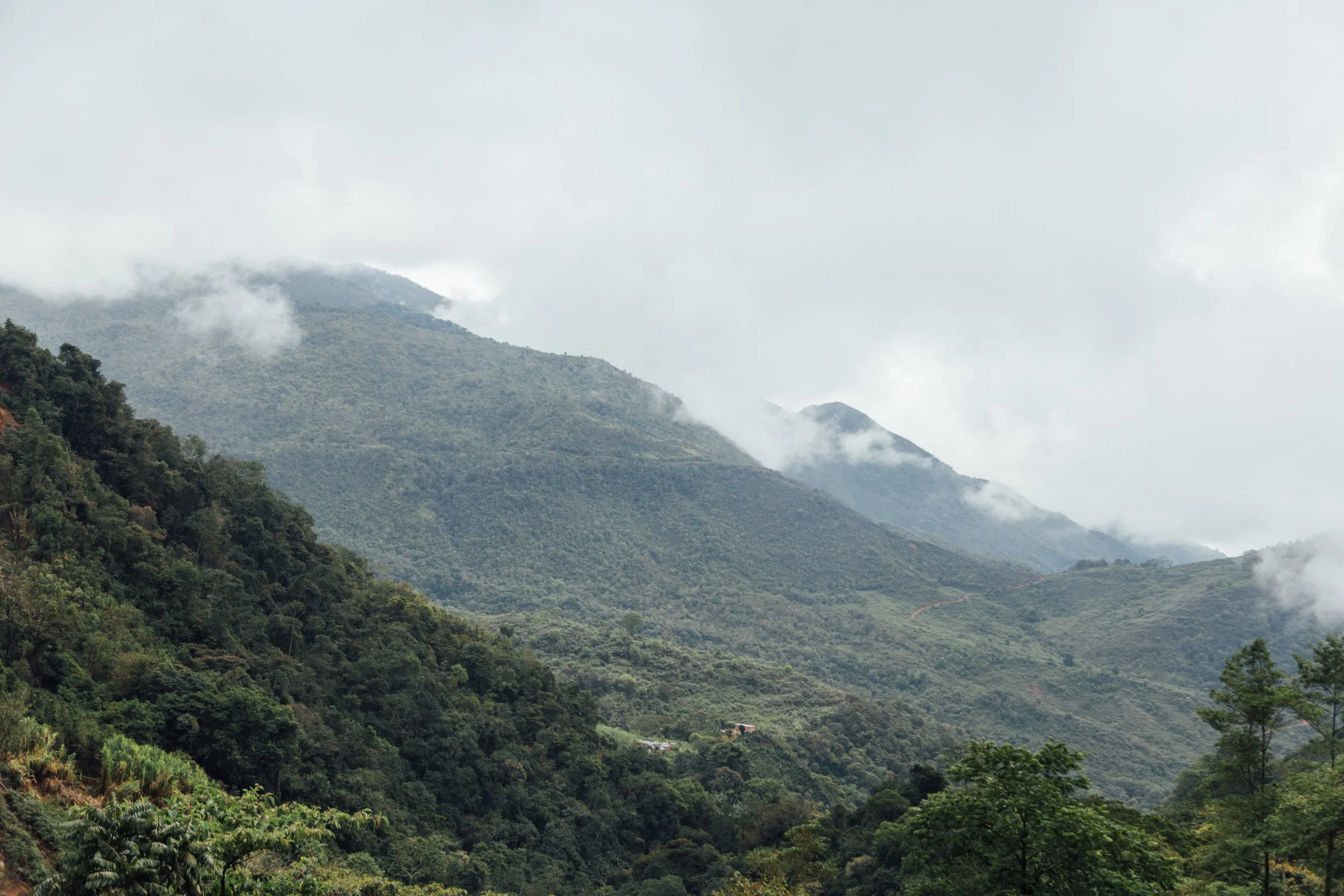 Arnulfo Caro Chiroso, Colombia 227g
