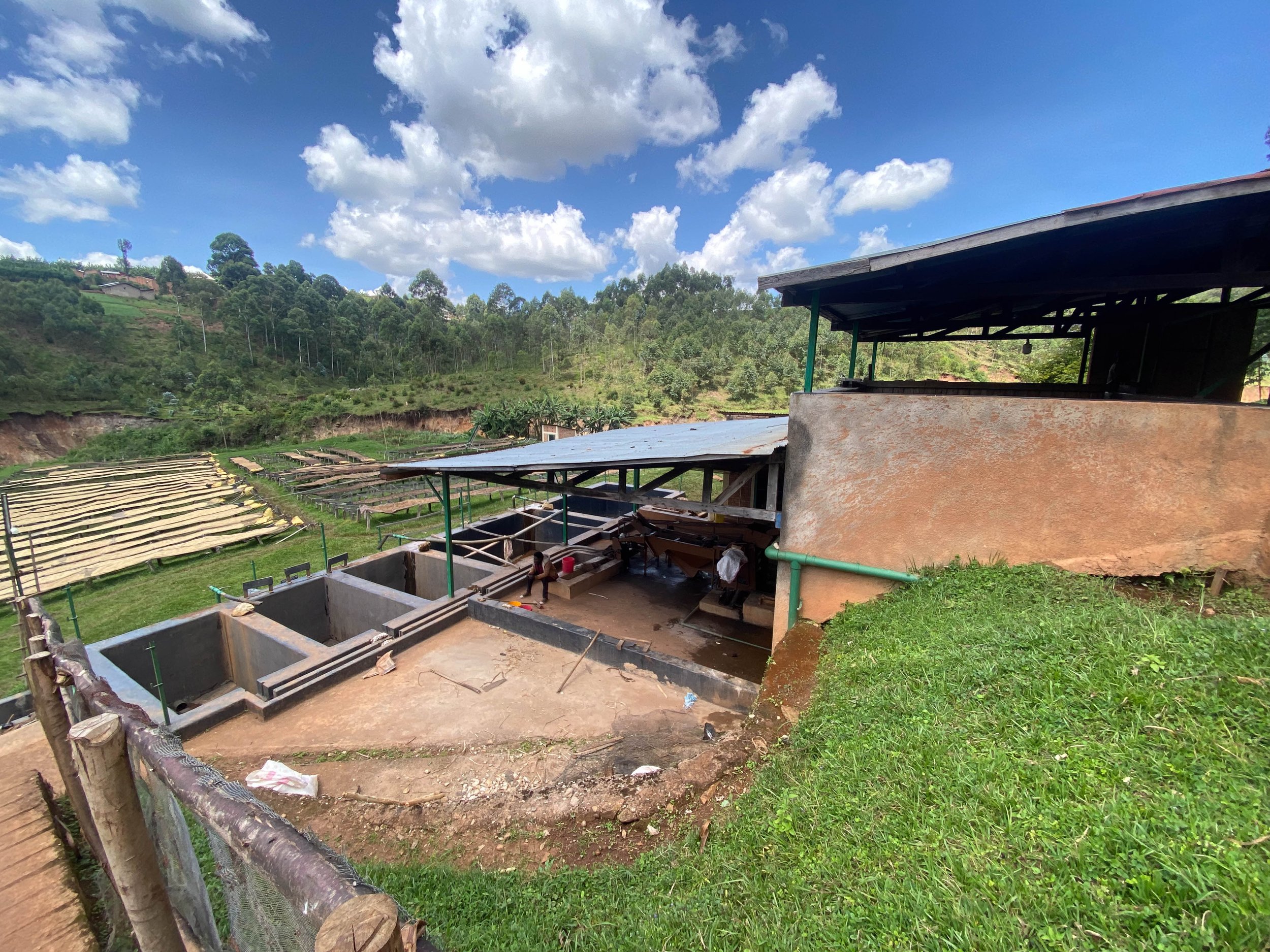 burundi-sweet-marias-kibingo-washing-station-1.jpg