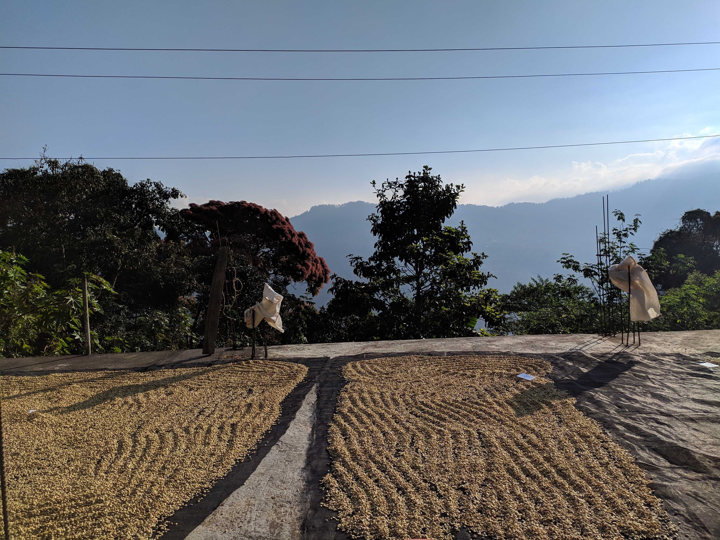 4. sierra norte oaxaca_santa maría la chichina.jpg