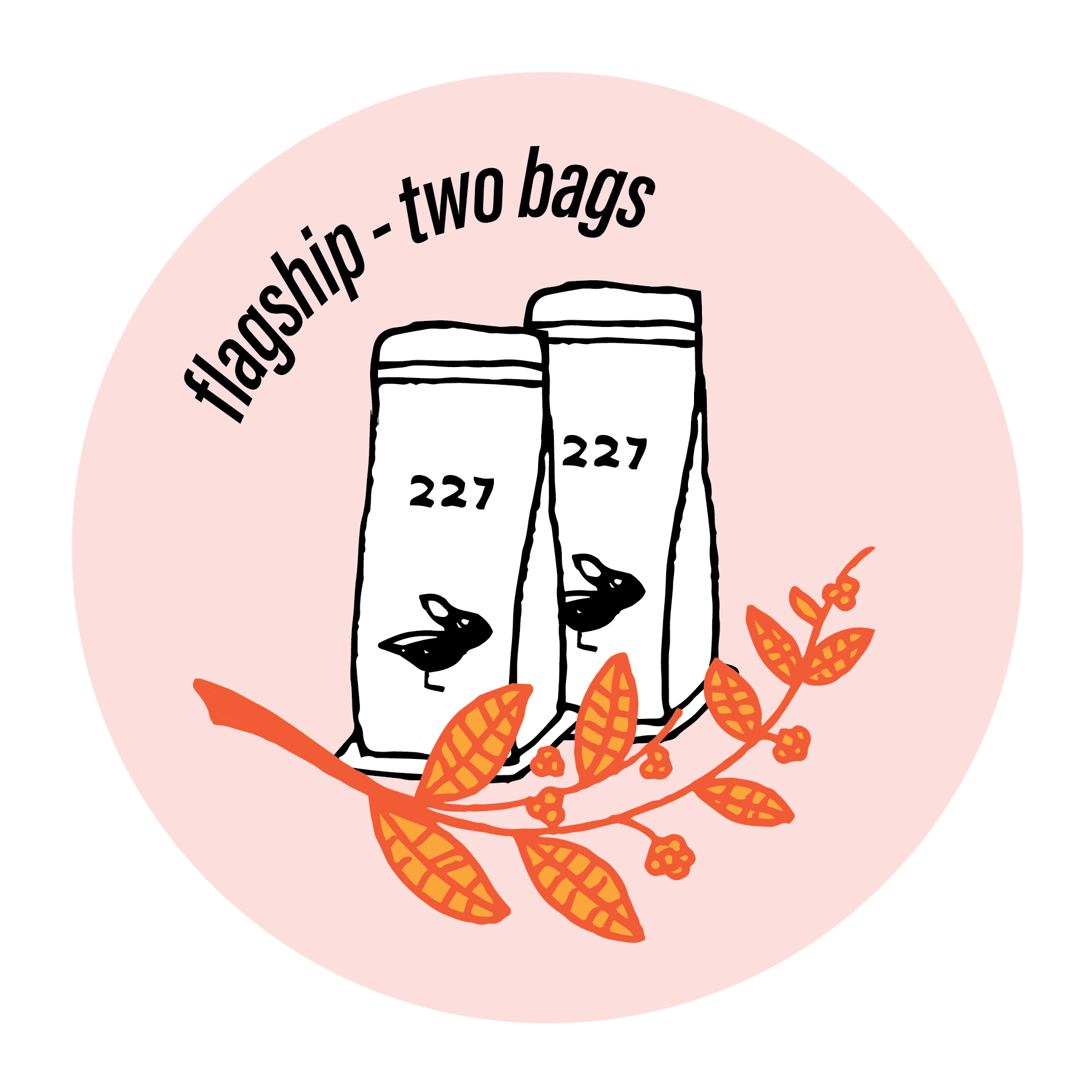 flagship monthly subscription - two bags