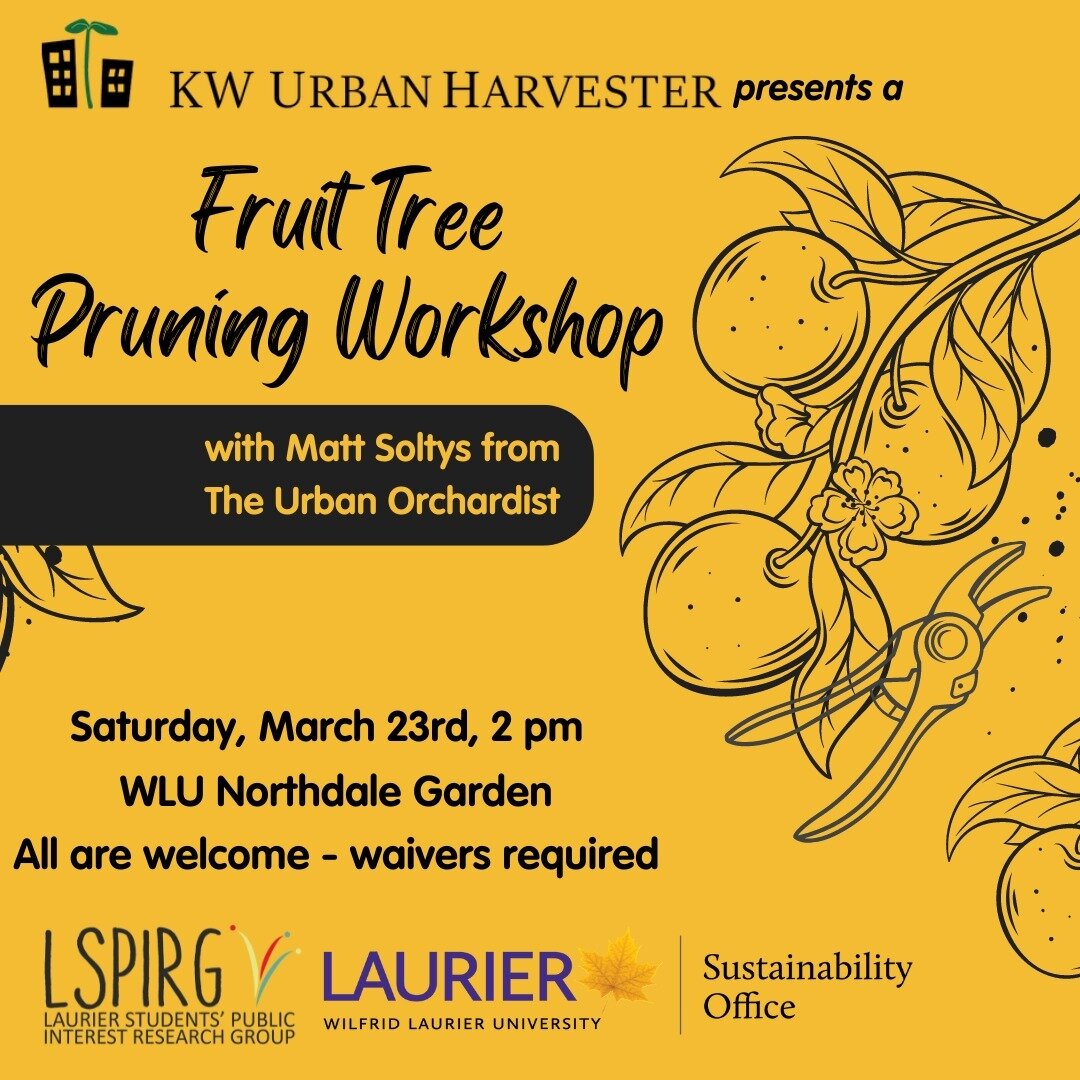 With at least some cold weather still with us, the time is right to prune the fruit trees the Northdale garden before the sap starts to run! With that in mind, you are invited to attend a workshop on learning to prune fruit trees organized by @kwurba