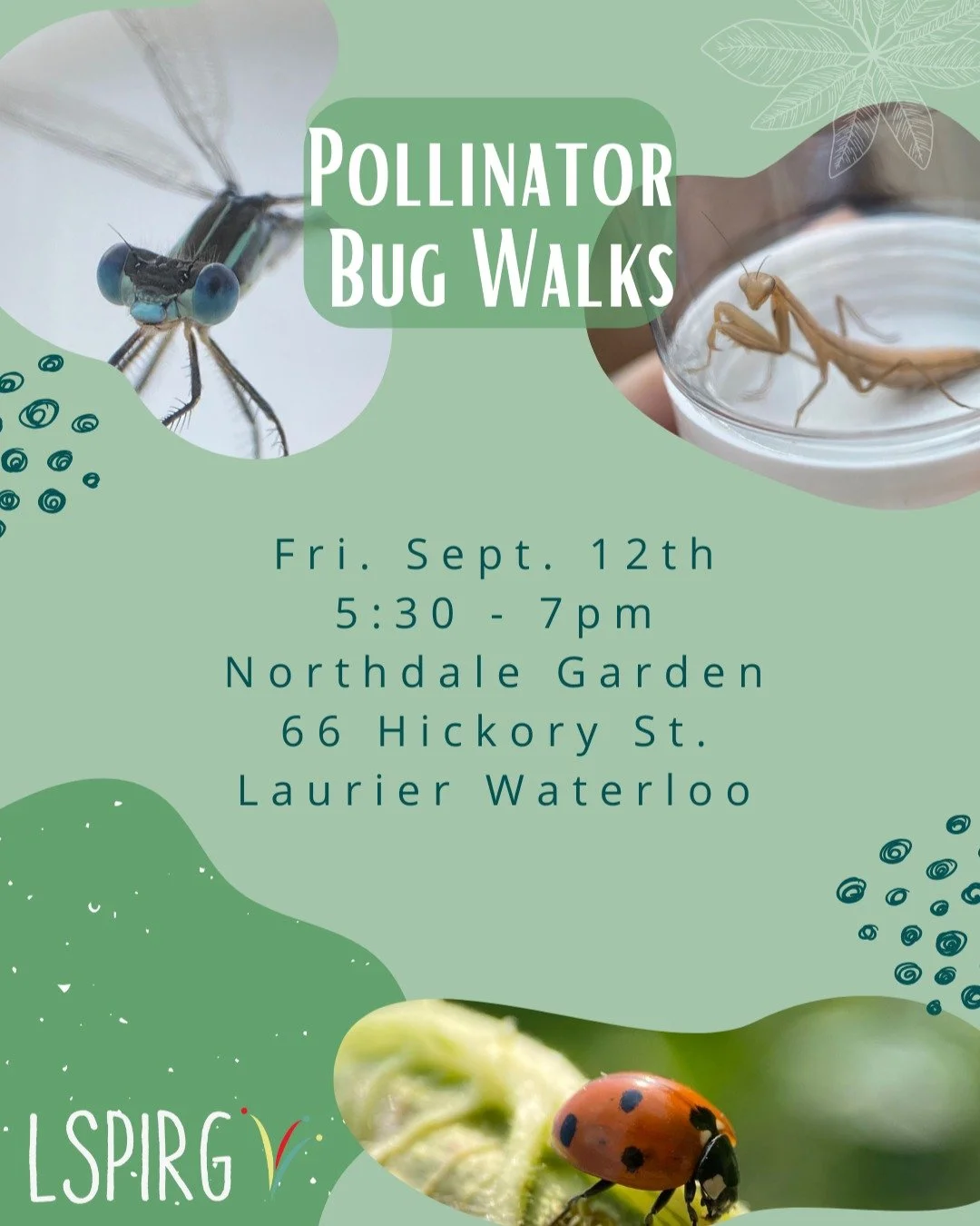 Our very last Pollinator Bug Walk of the season before the buggos peace out for the season! Our very own LSPIRG staffer from @brantfordnaturalists has extensive insect experience and a whole bunch of bug nets and jars for you to use. If you'd rather 