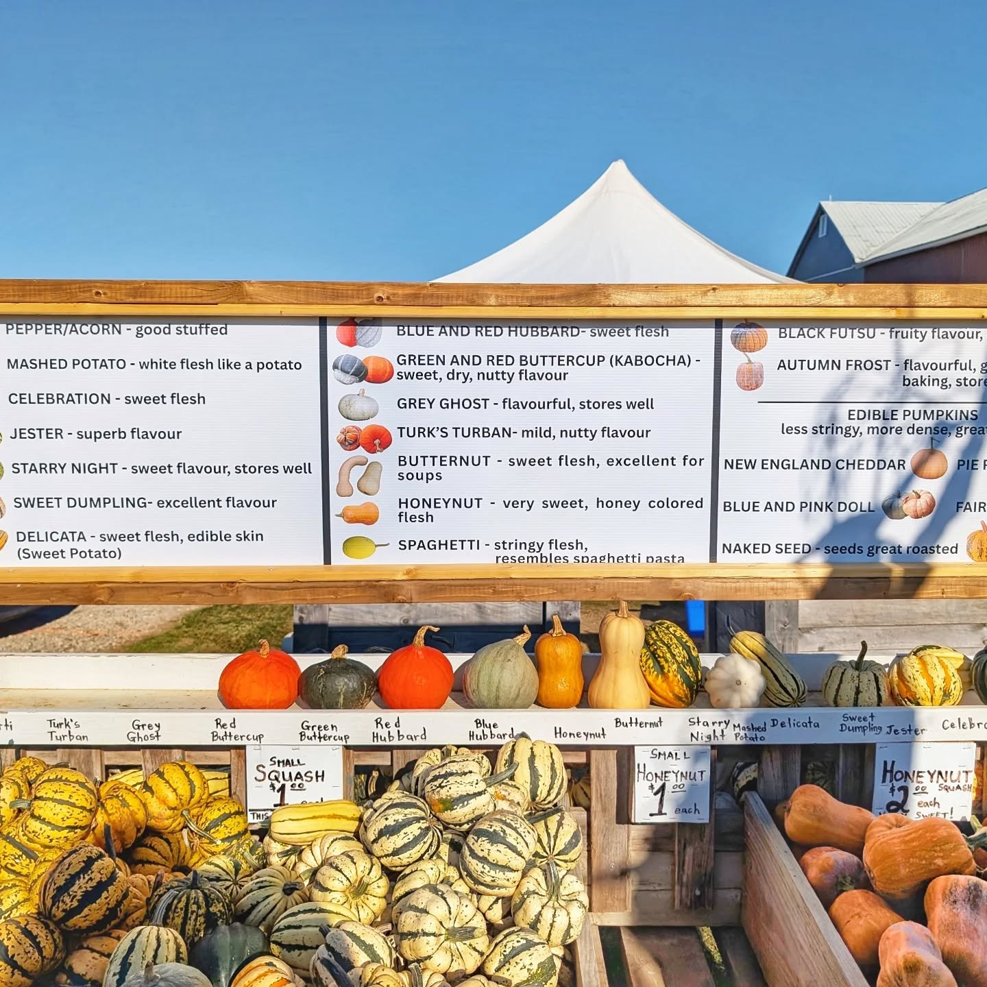 This week at Distro - we have SQUASH!!!
 Our friends at @goodpumpkins grow some of the most delicious squash varieties you will ever eat, and they've given us some to share!  Just days ago, these little packages of goodness were growing in the fields