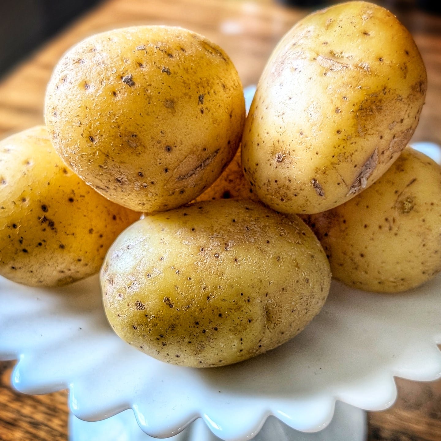 What's your vote for most versatile vegetable? 
I nominate the humble potato.  Boiled, mashed, fried, baked, in soups, in casseroles, in curries, loaded, buttered, shredded for rosti.. It can be used for so many dishes!  I like to use thin slices of 