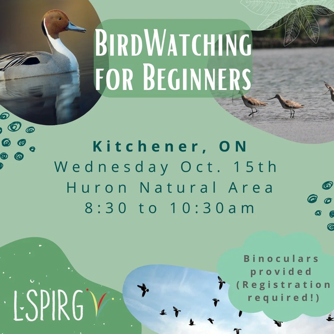 We're running a &quot;Birdwatching for Beginners&quot; event for Fall Migratory Bird Day at Huron Natural Area on Wednesday, October 15th at 8:30am! This event is for absolute beginners who want to try out birdwatching. @brantfordnaturalists is joini
