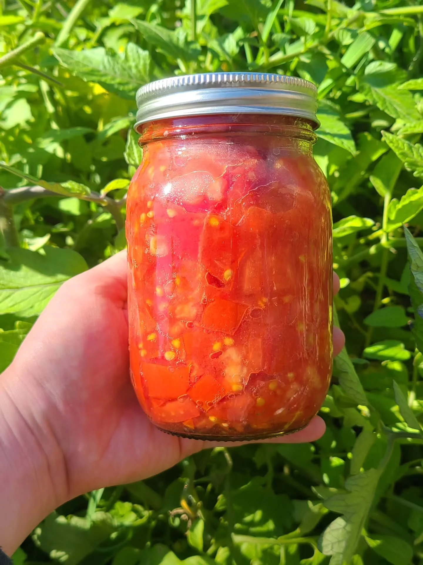 Thank you to everyone who participated in our Canning and Pasta Dinner event this week! We learned how to preserve the fall harvest by waterbathing diced tomatoes.  There were enough jars to share with our Distro volunteers the next day too! Thank yo