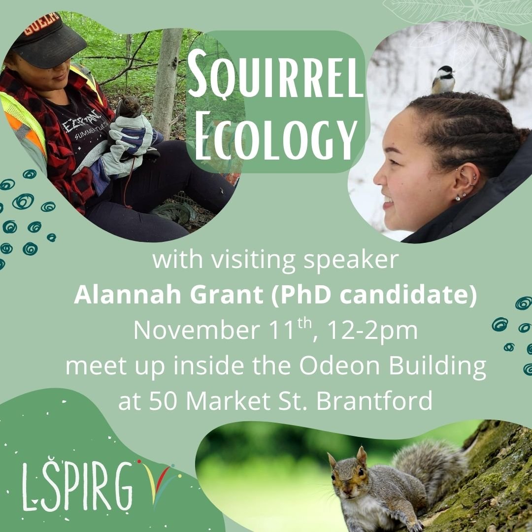Visiting wildlife educator and PhD candidate from the University of Guelph Alannah Grant is joining Brantford Naturalists to answer all your questions about SQUIRRELS! 

🐾 Tues November 11th, 12-2pm
🍃 Meet up at the Odeon Building
🍂 Dress warmly s
