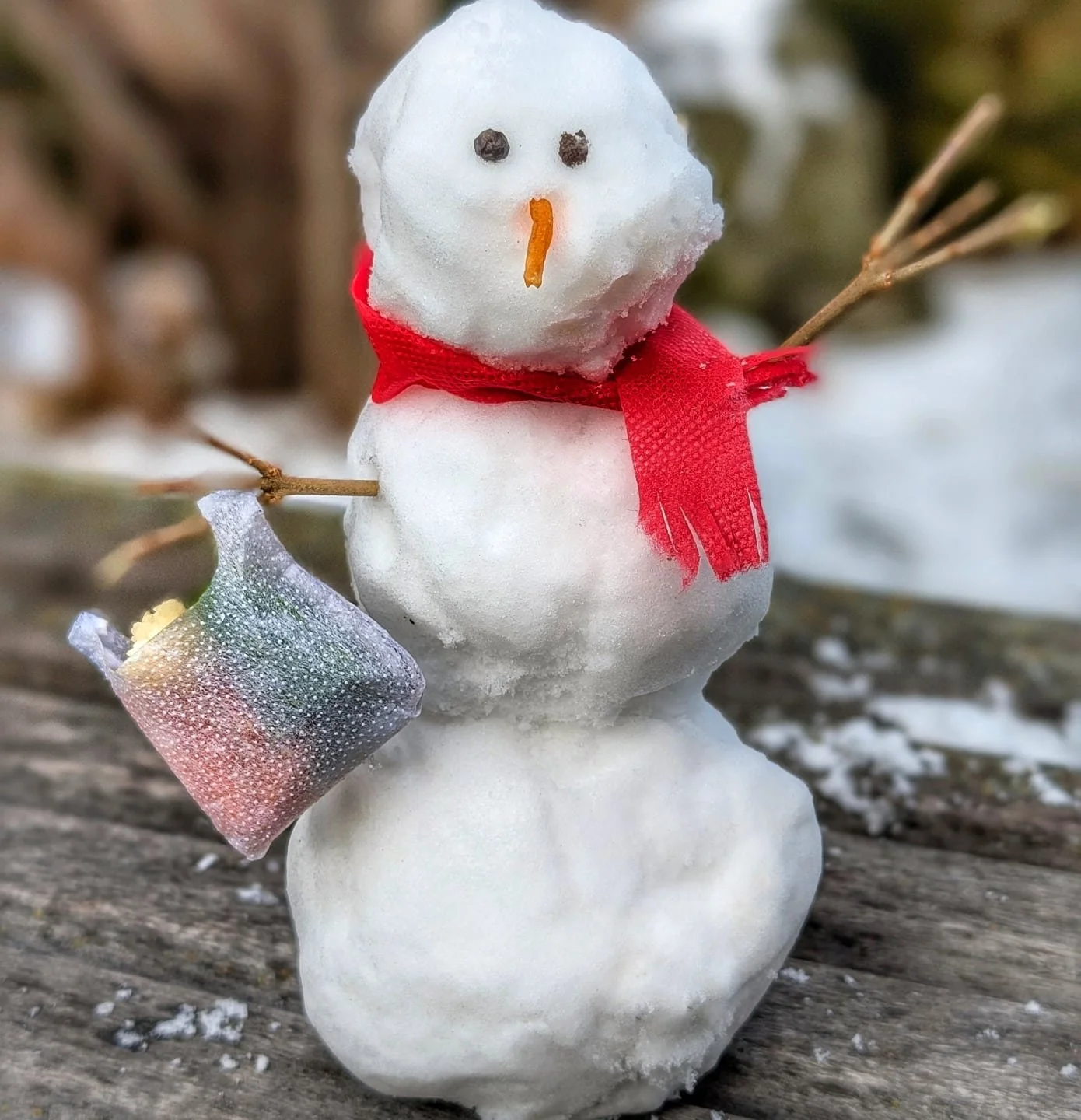 What's in Frosty's grocery bag?
Today they picked up some apples, peppers, potatoes, and onions - getting some extra to store for the Winter Break- and some carrots, avocado, and oranges for this week! 
They also got a delicious scone, but ate it bef