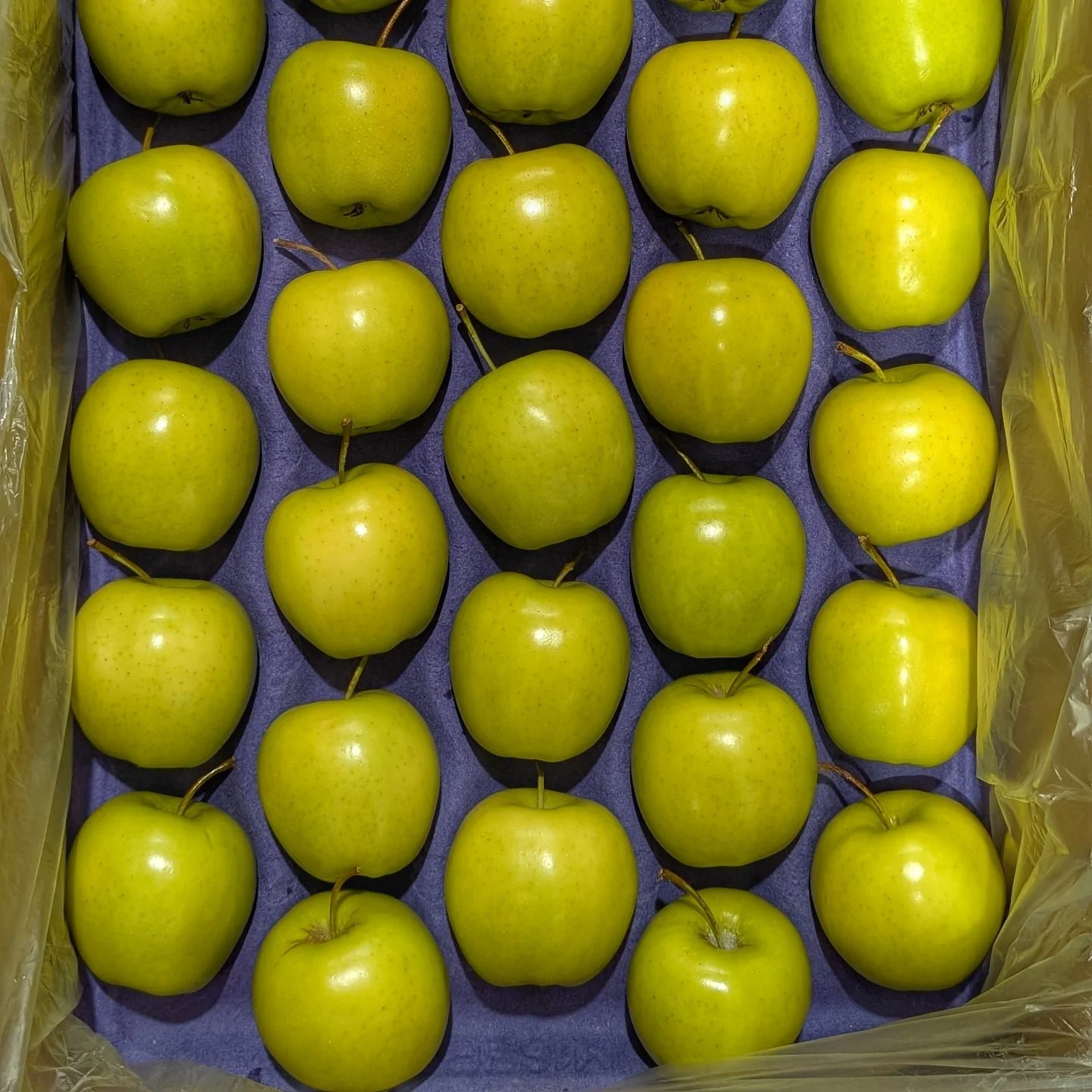 Bright green delicious-ness on a cloudy snowy day!