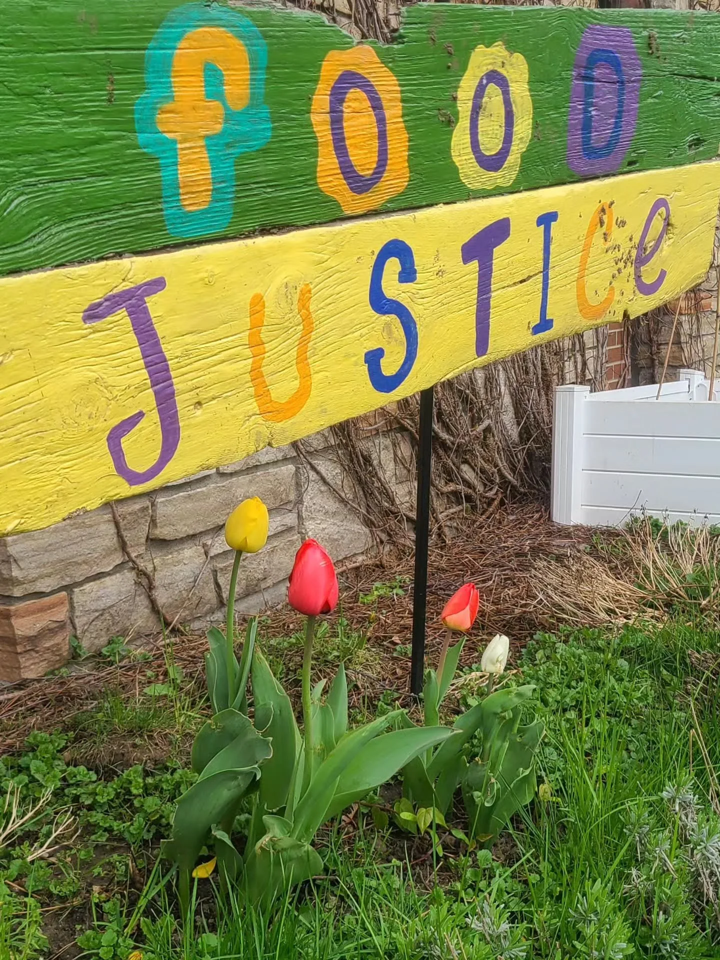 The tulips we planted for Shannon Lee when they died have now started to bloom. These blooms at the garden they loved so much won't last long, but our memories of our beloved Distro and Garden volunteer will always be here. 

Thank you to @lutherwate
