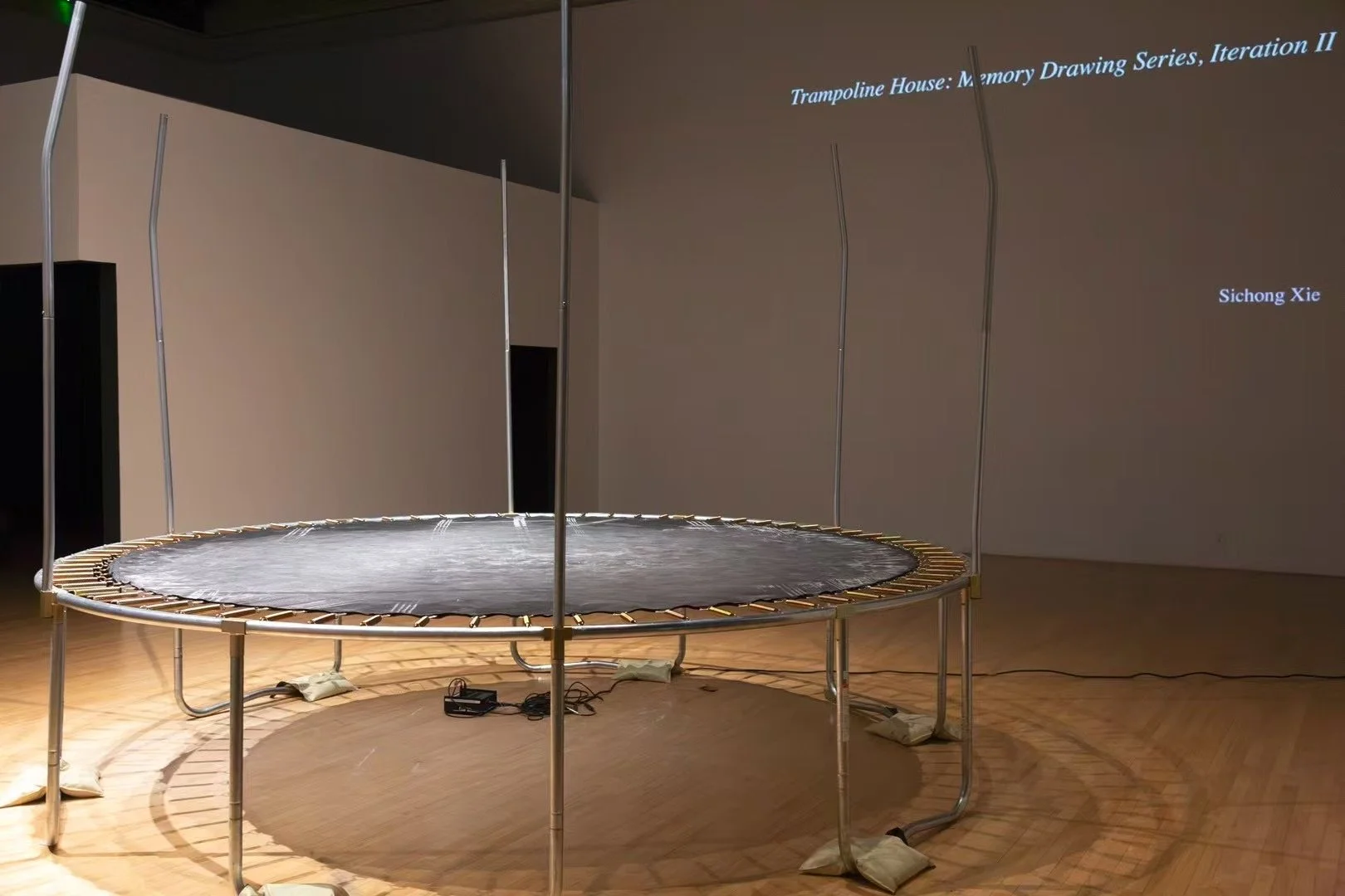 Sichong Xie_Armory Performance_06.JPG