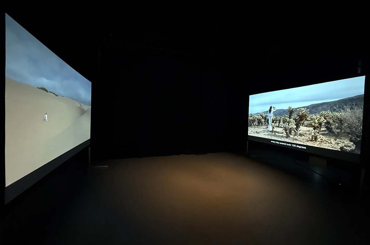 This installation that explores the psychological and physical terrain of the borderlands between Calexico and Mexicali. Set between the Salton Sea and the Salada Lagoon, the work examines the complex intersection of humanity, nature, and cultural-p