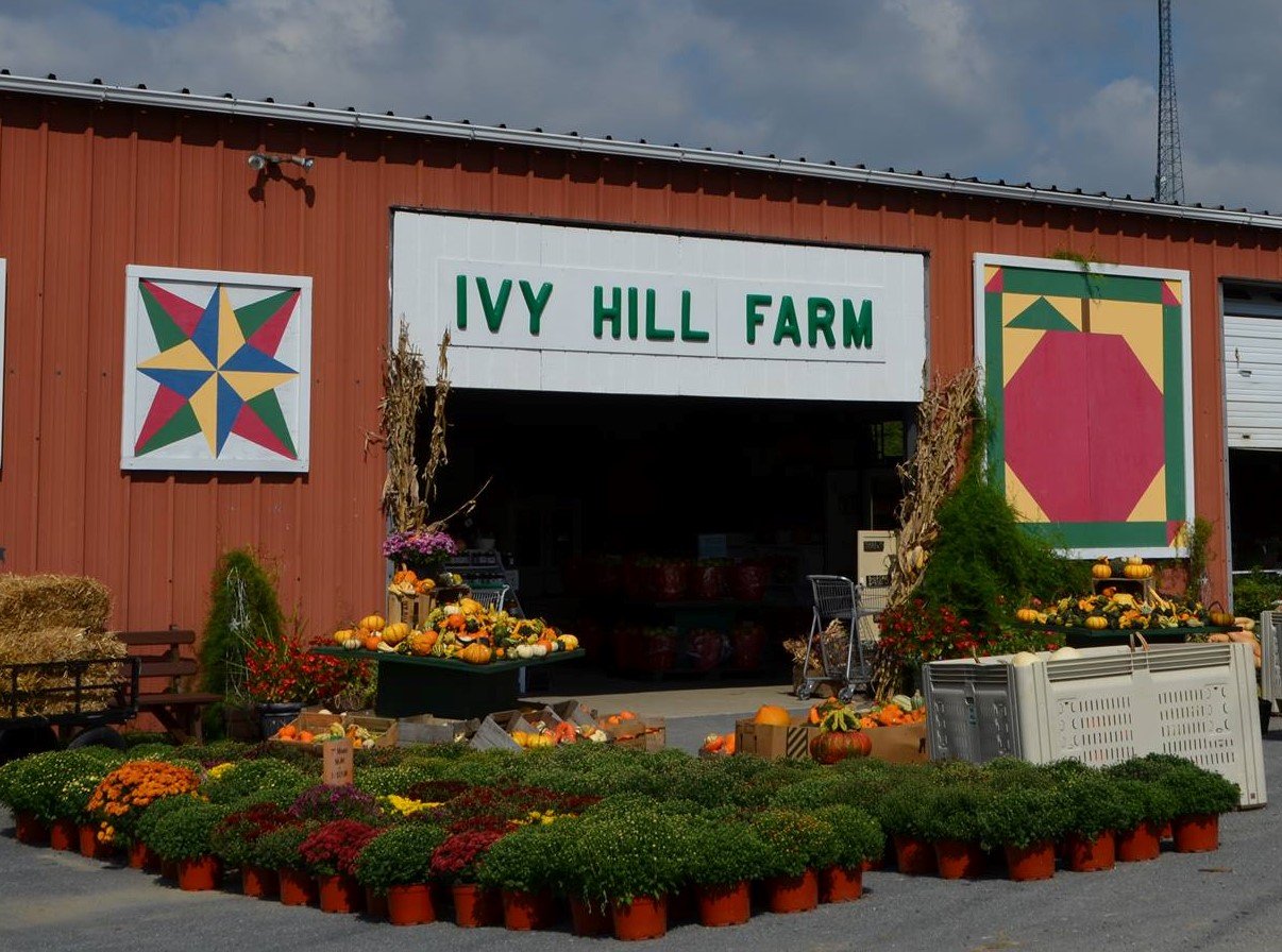 Ivy Hill Farm.jpg