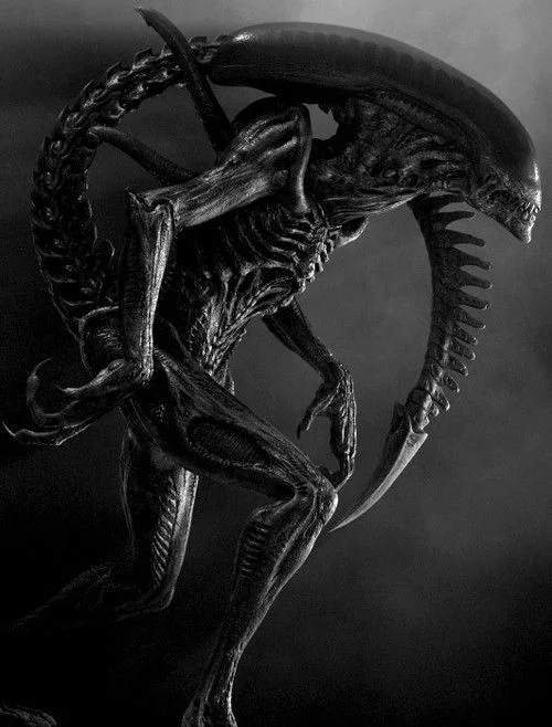 xenomorph.jpg