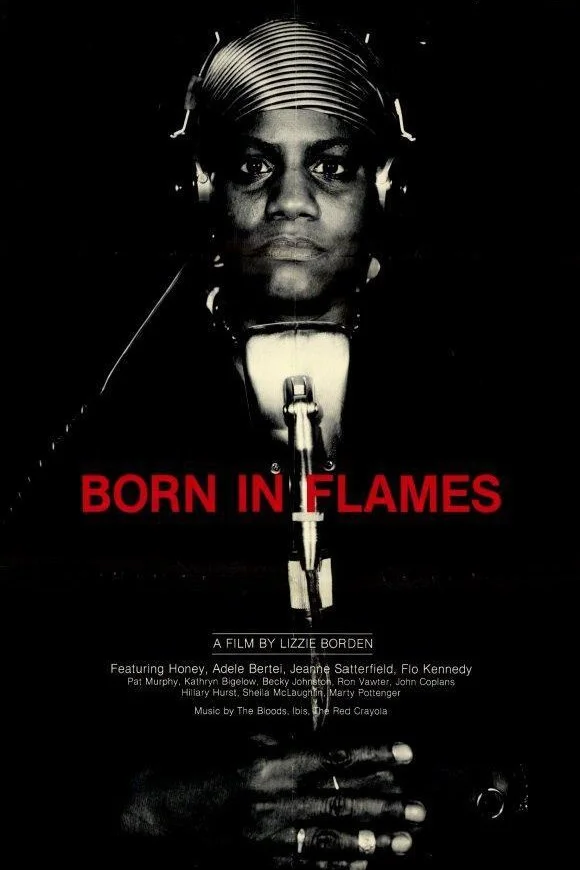 Born in Flames Poster IMDB.jpg