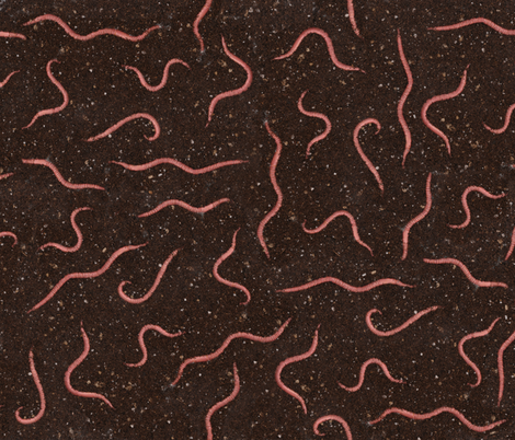 rrrrrrrworms4_shop_preview.png
