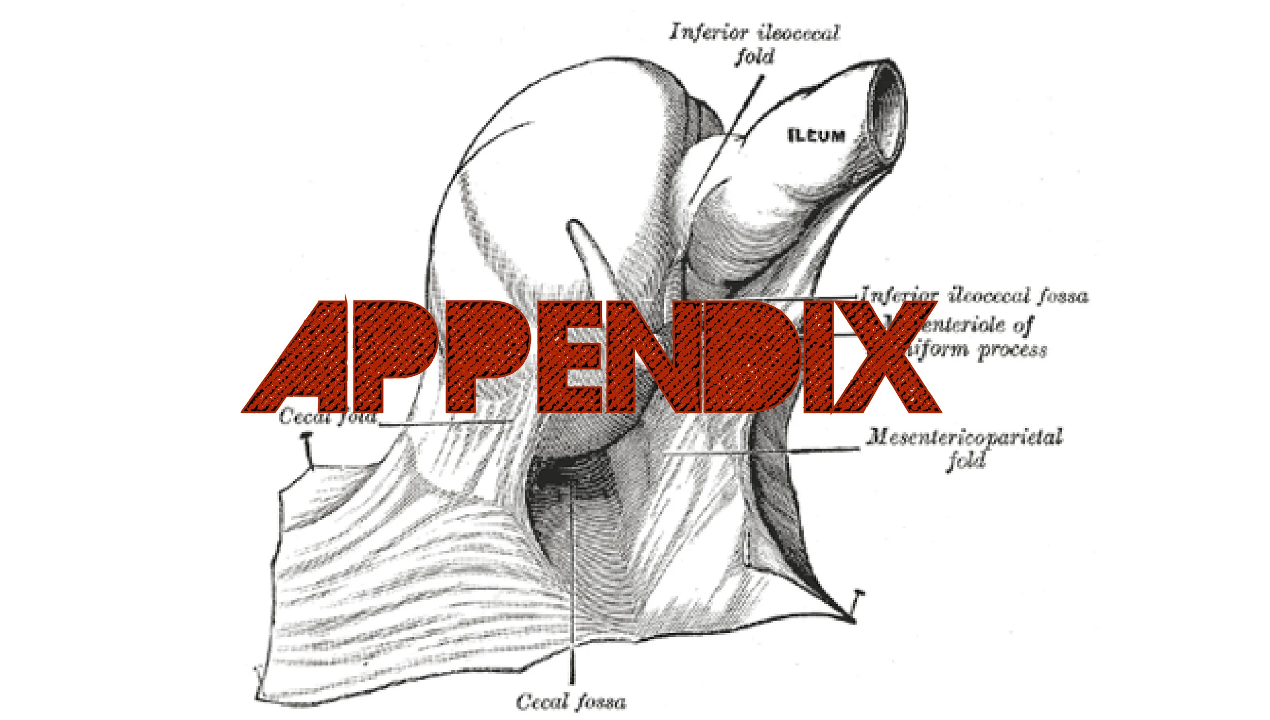US_Appendix-01.jpg