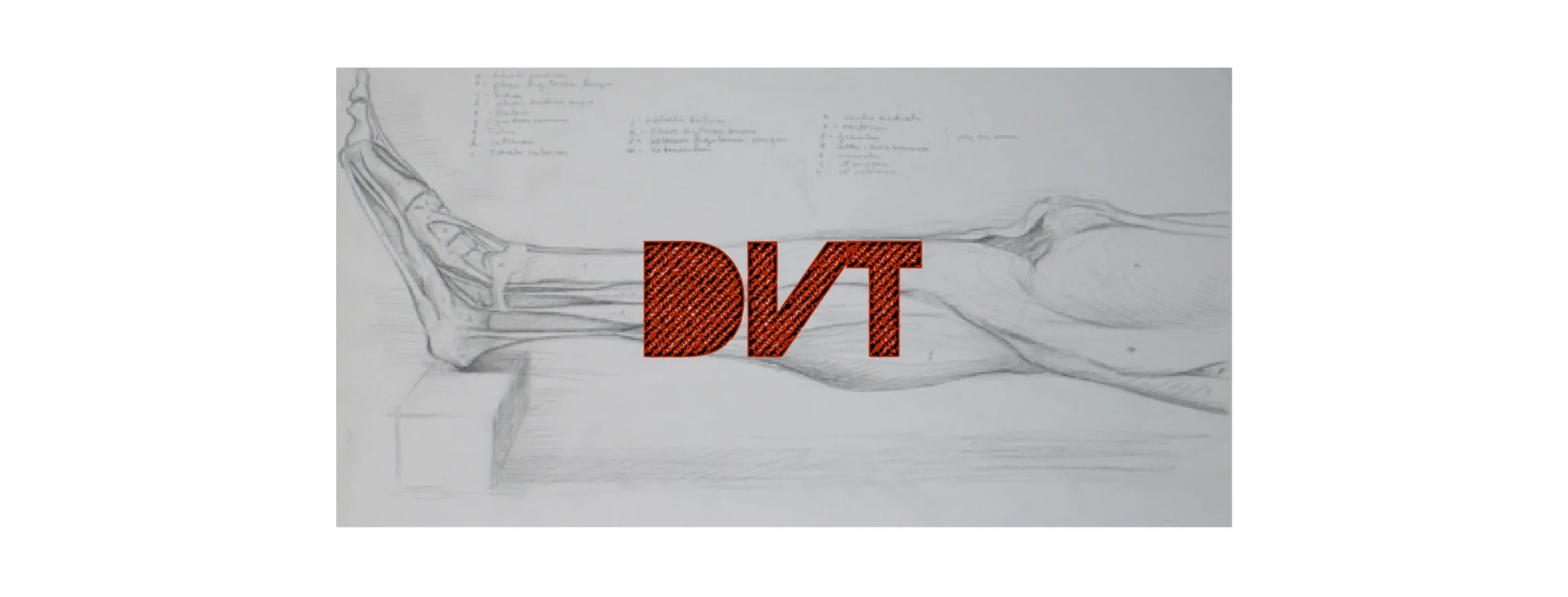 US_DVT-01.jpg
