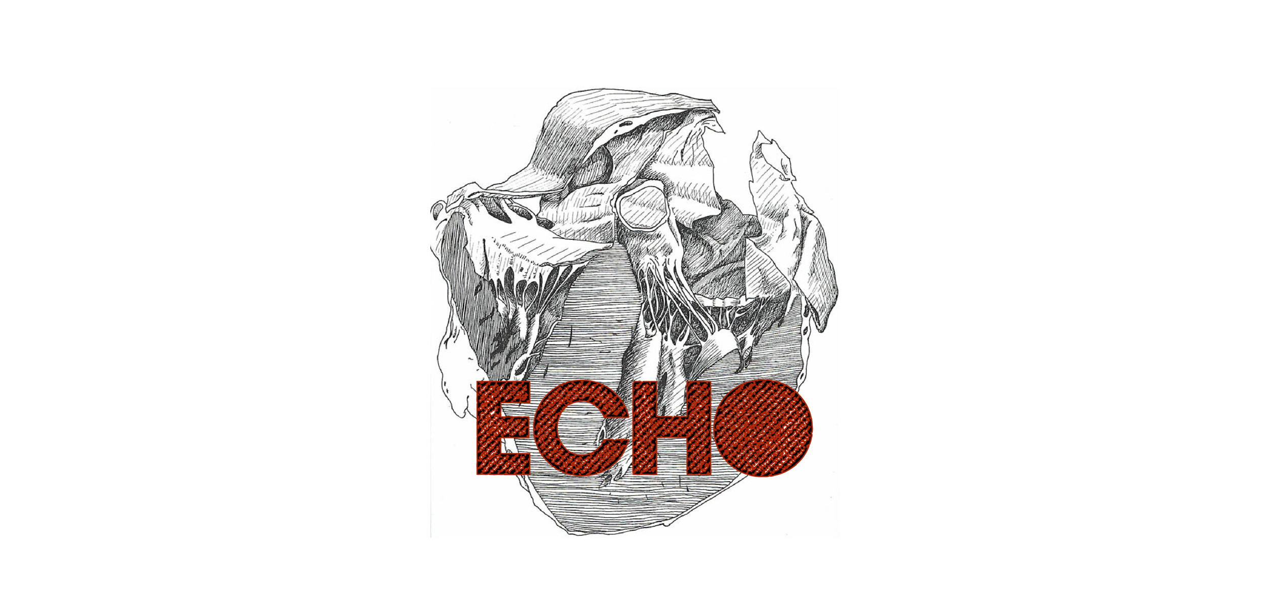 US_ECHO-01.jpg