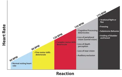 Stress and its impact on our performance.