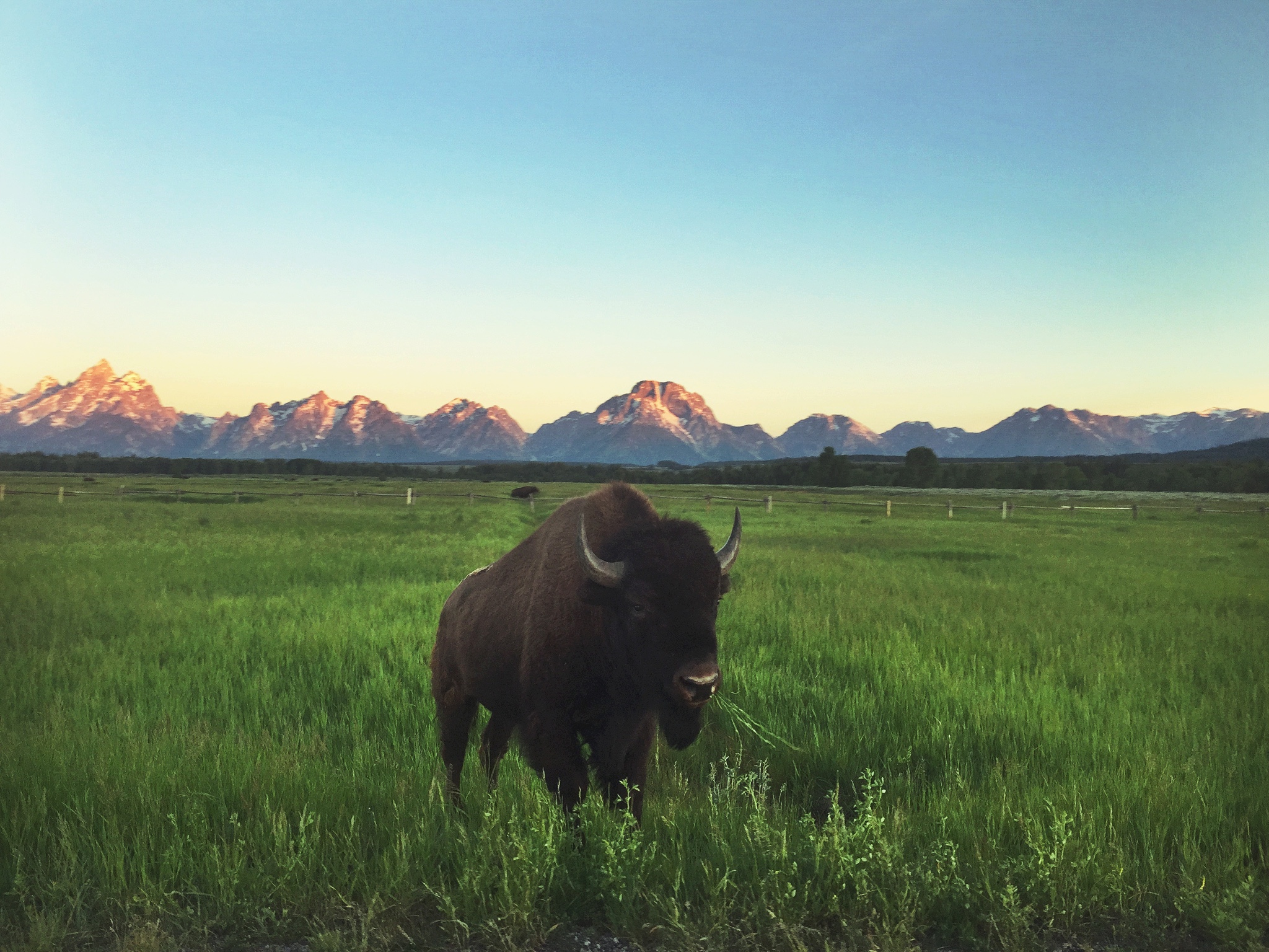 The Grand Tetons, Wyoming